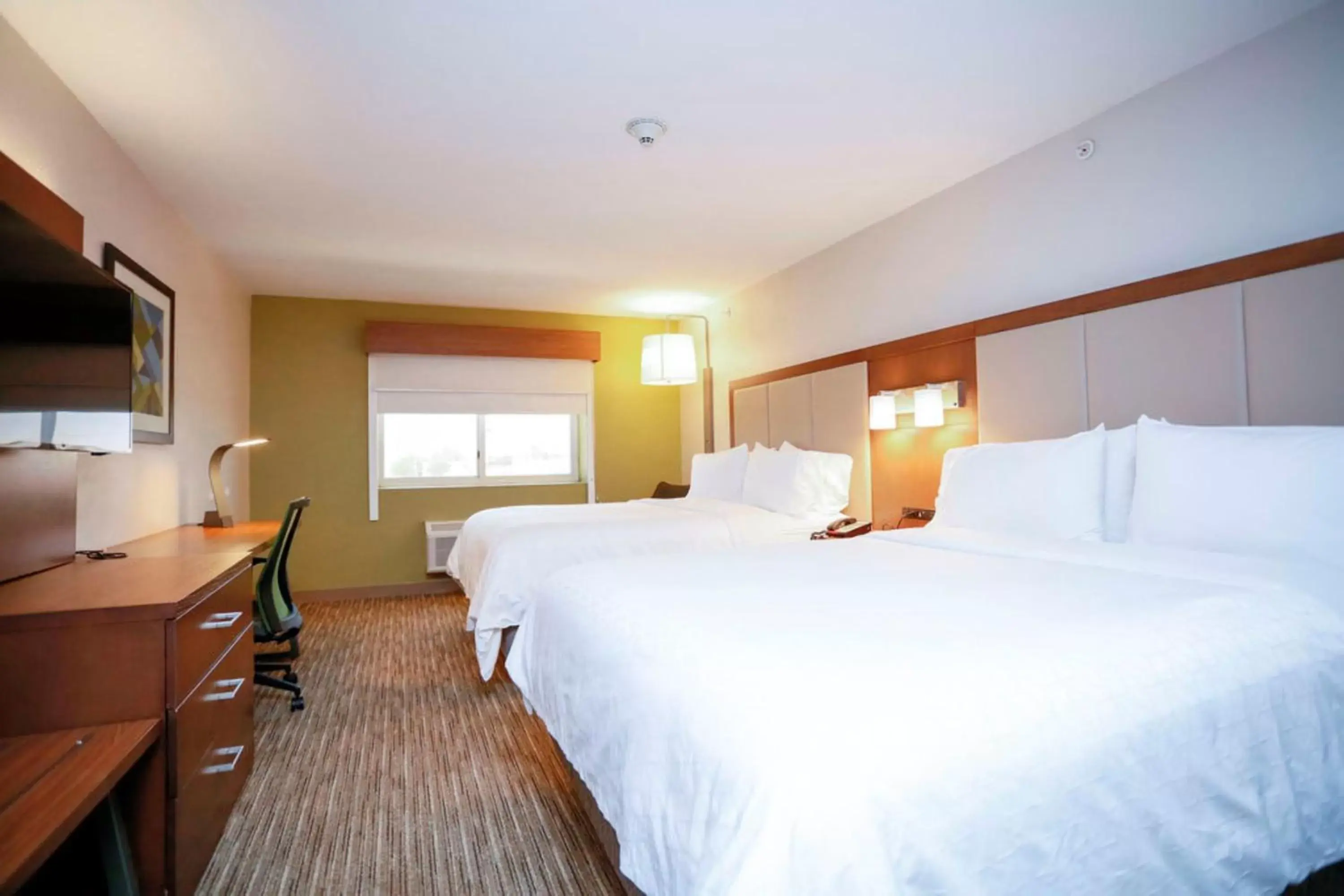 Photo of the whole room, Bed in Holiday Inn Express Hotel & Suites Carlsbad, an IHG Hotel