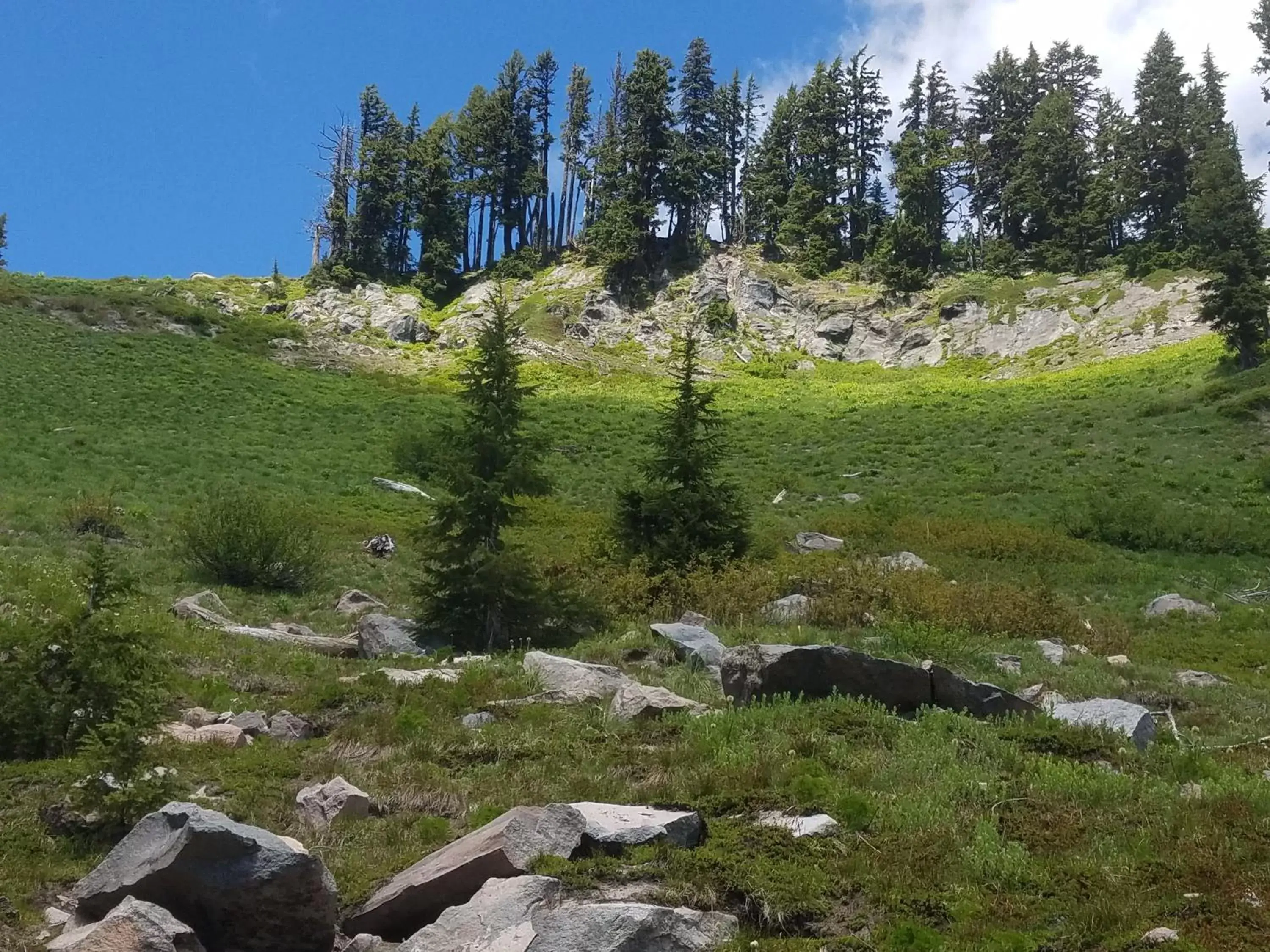 Nearby landmark in Cooper Spur Mountain Resort