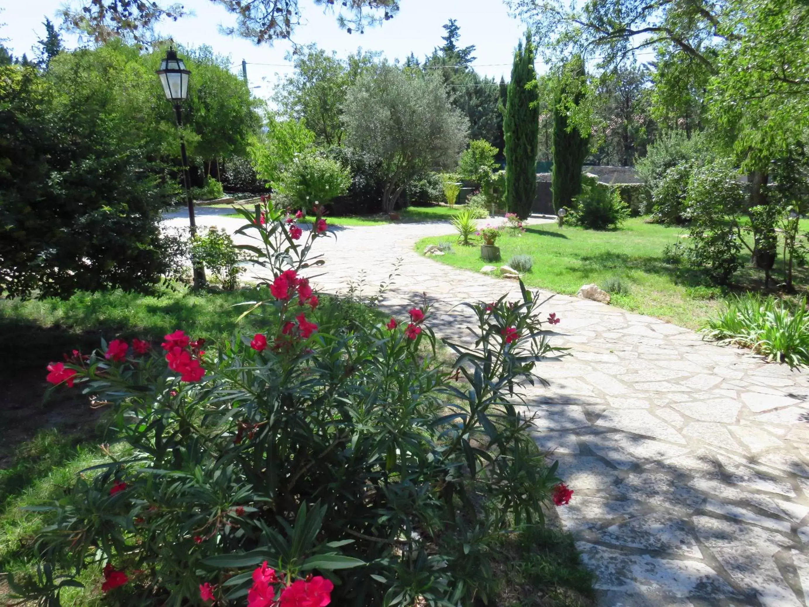 Garden in Le Mas Des Cigales