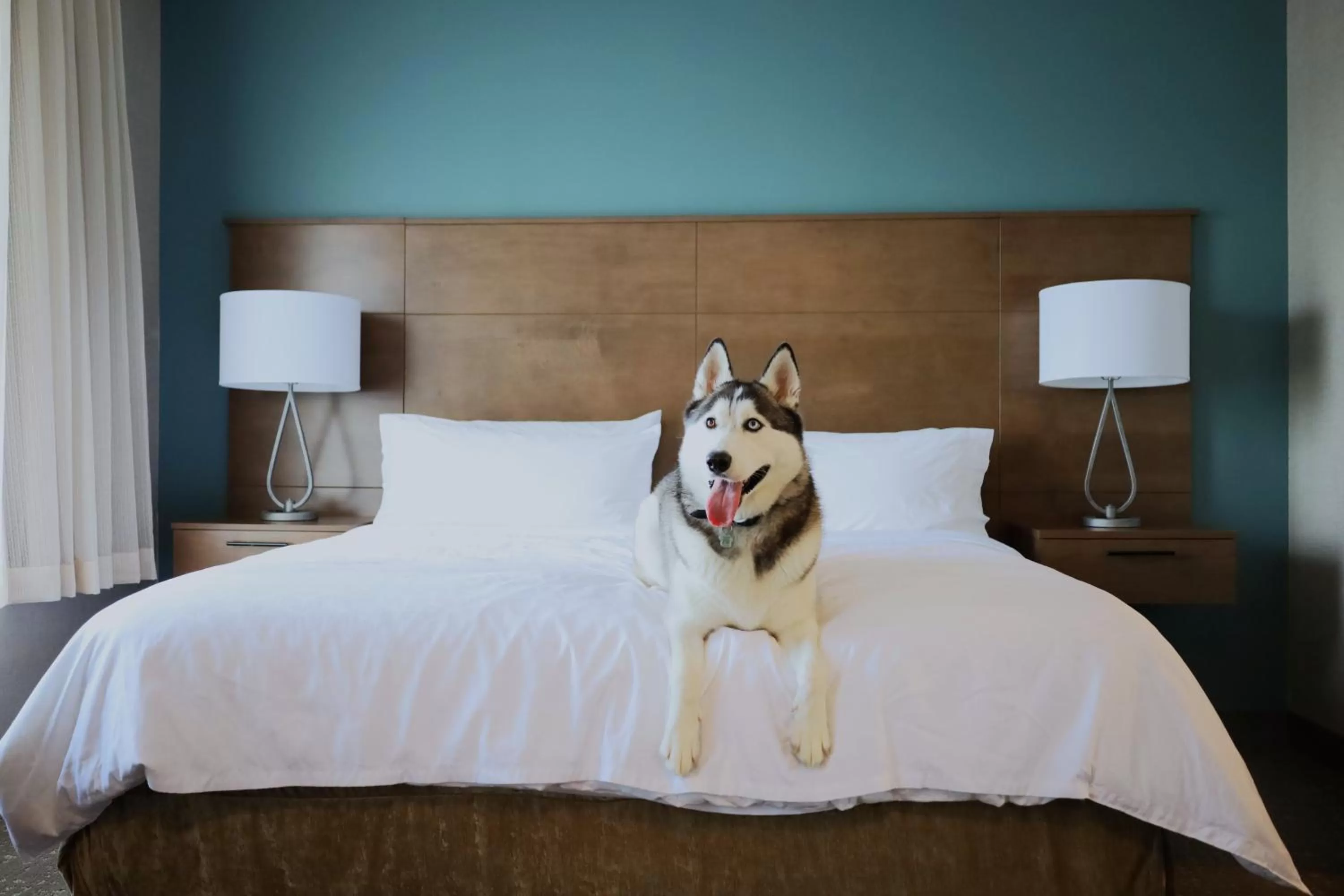 Photo of the whole room, Bed in Staybridge Suites - Waterloo - St. Jacobs Area