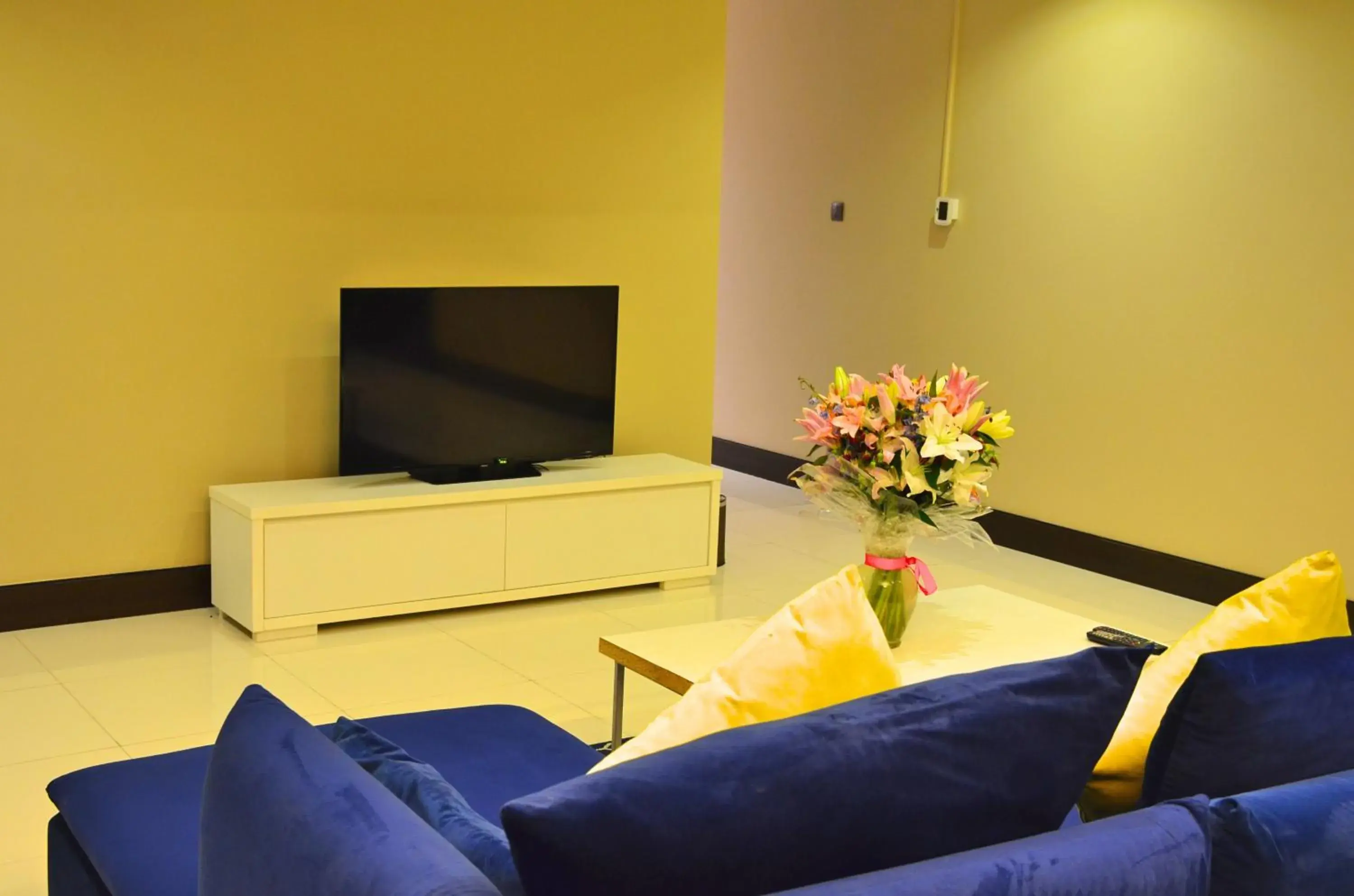 Communal lounge/ TV room, TV/Entertainment Center in Blaire Executive Suites
