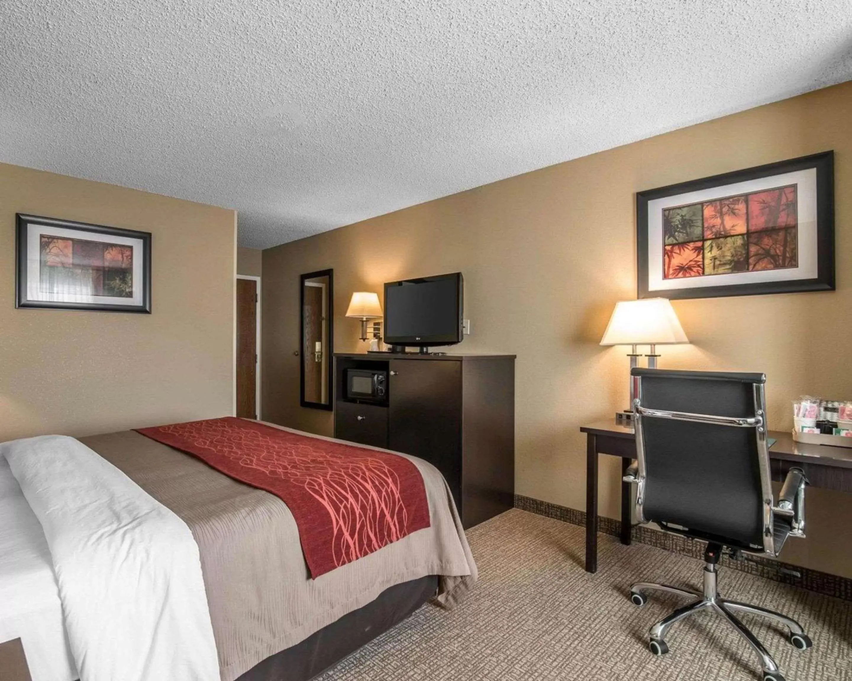 Photo of the whole room, Bed in Comfort Inn Saugerties