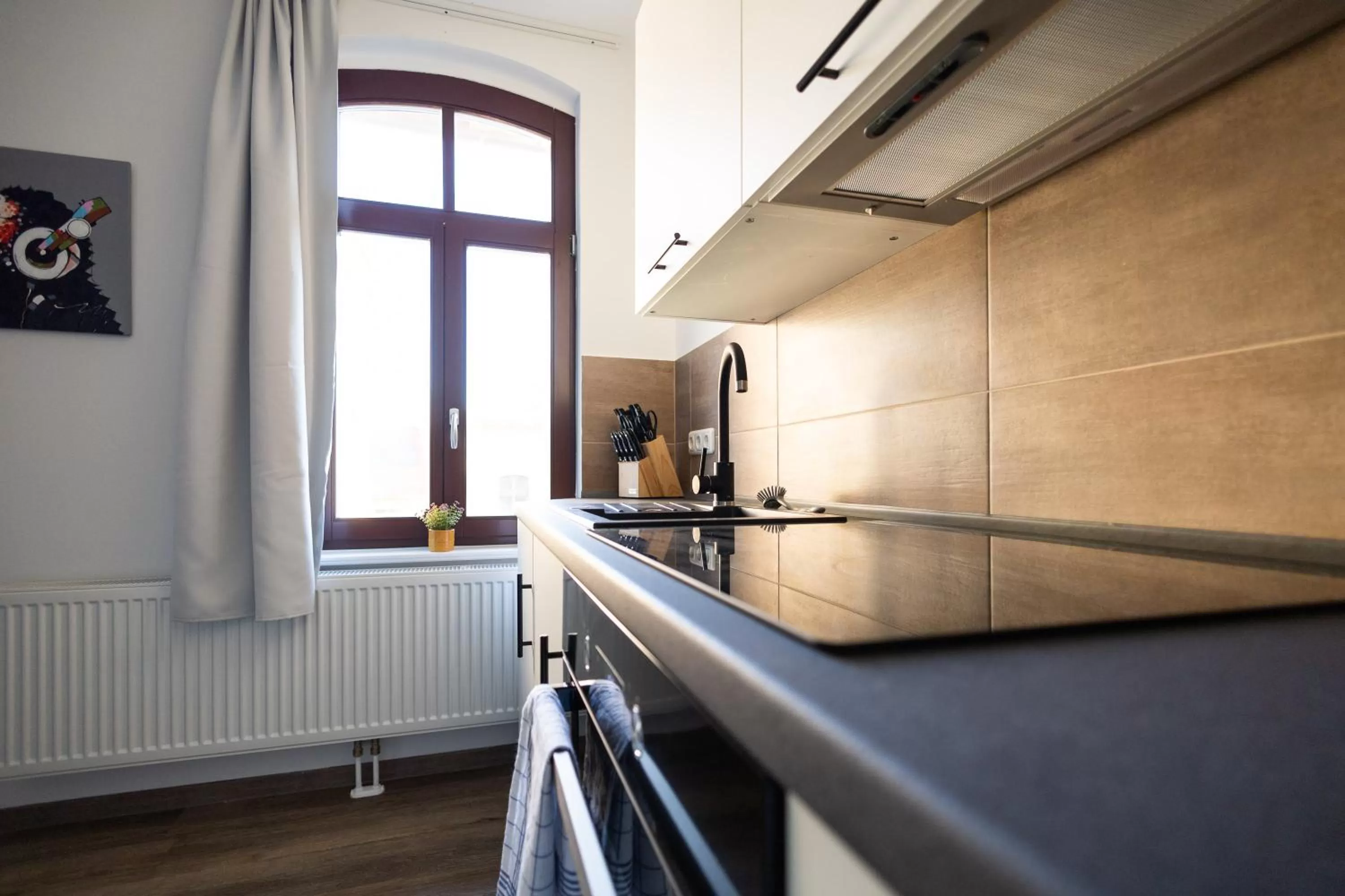 Kitchen or kitchenette in Apartments am Neuen Theater - Altstadt - Zentral - Küche - Wifi - Powered by Ko-Living