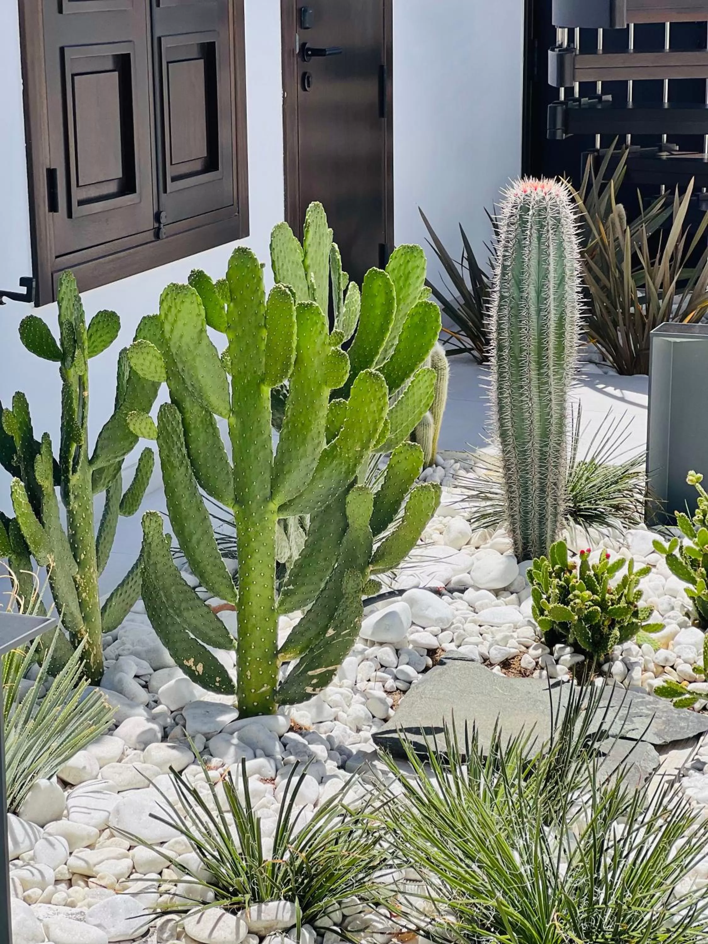 Fahana - Gay Men Only