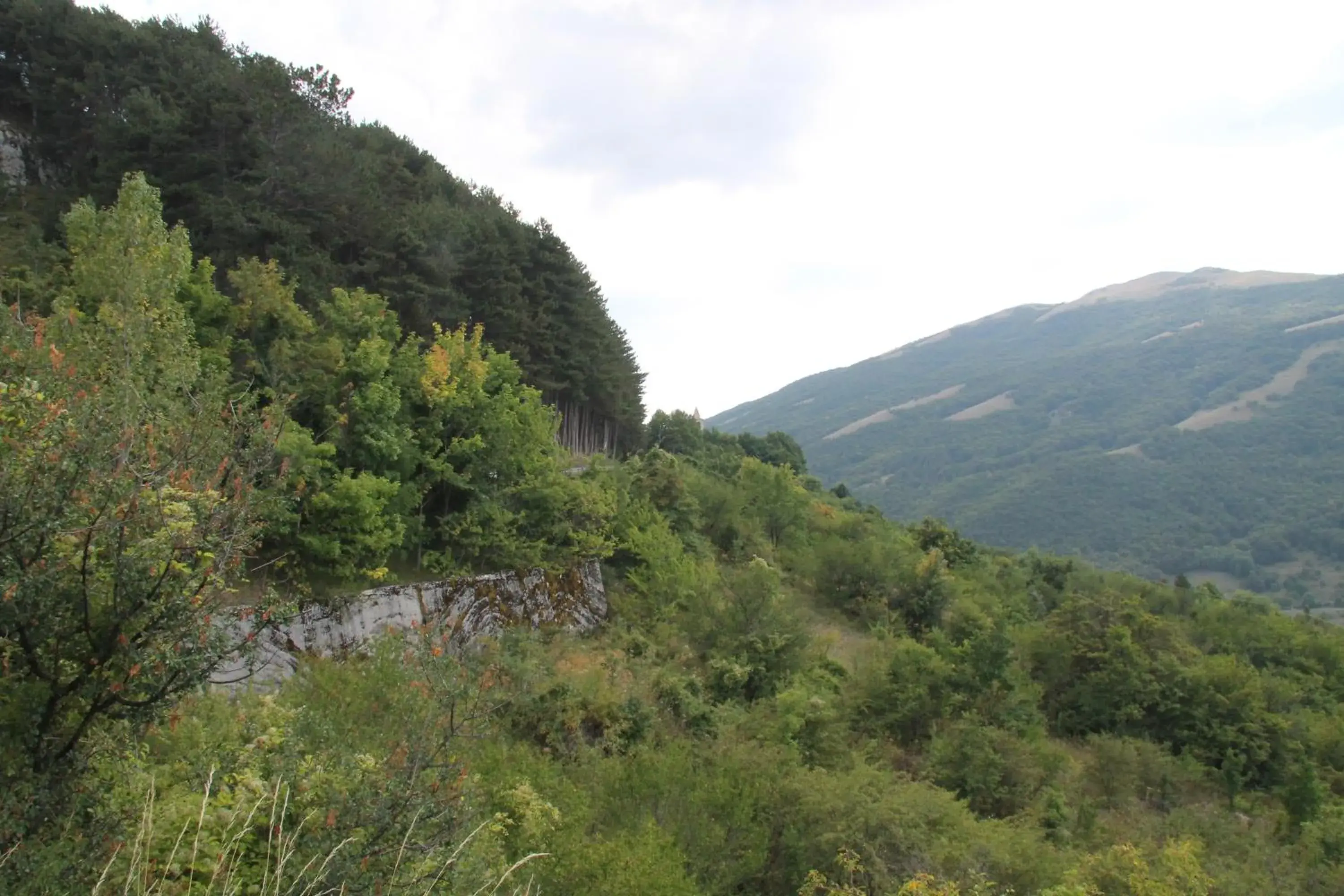 Natural Landscape in FILIPPONE HOTEL&RISTORANTE