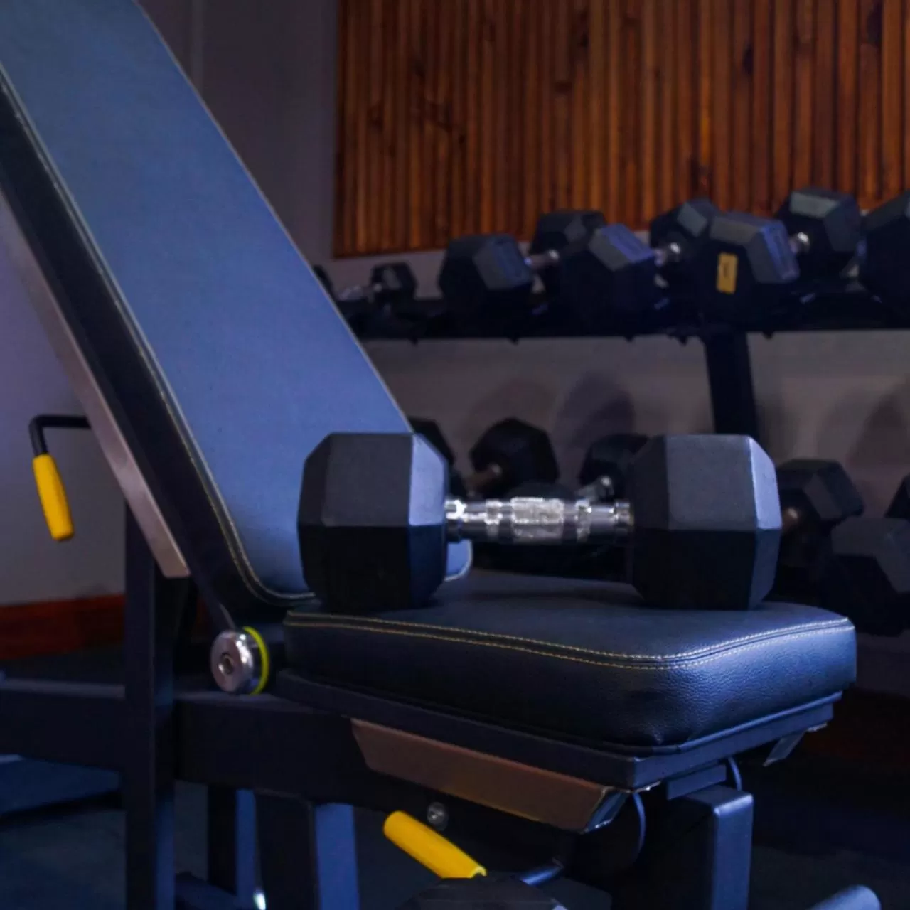 Fitness centre/facilities in Hotel Palma Real