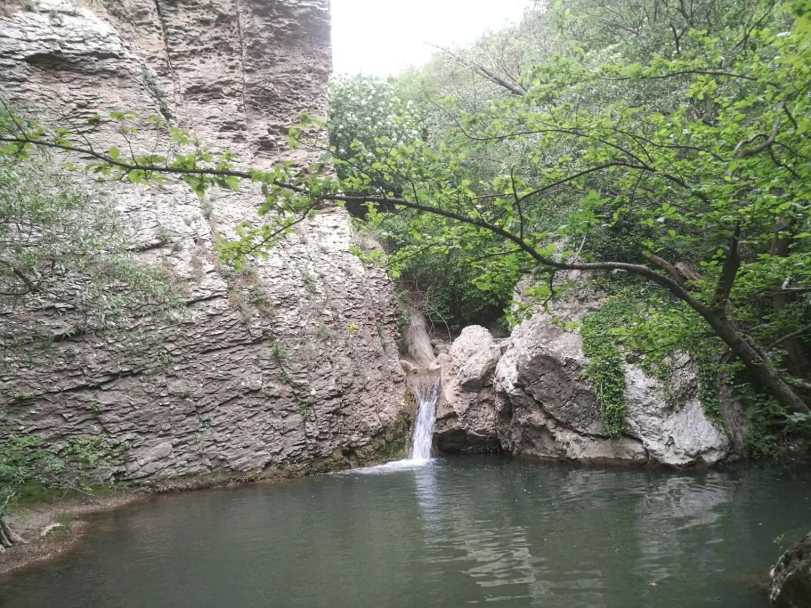 Natural Landscape in VIENIACASACCADIA