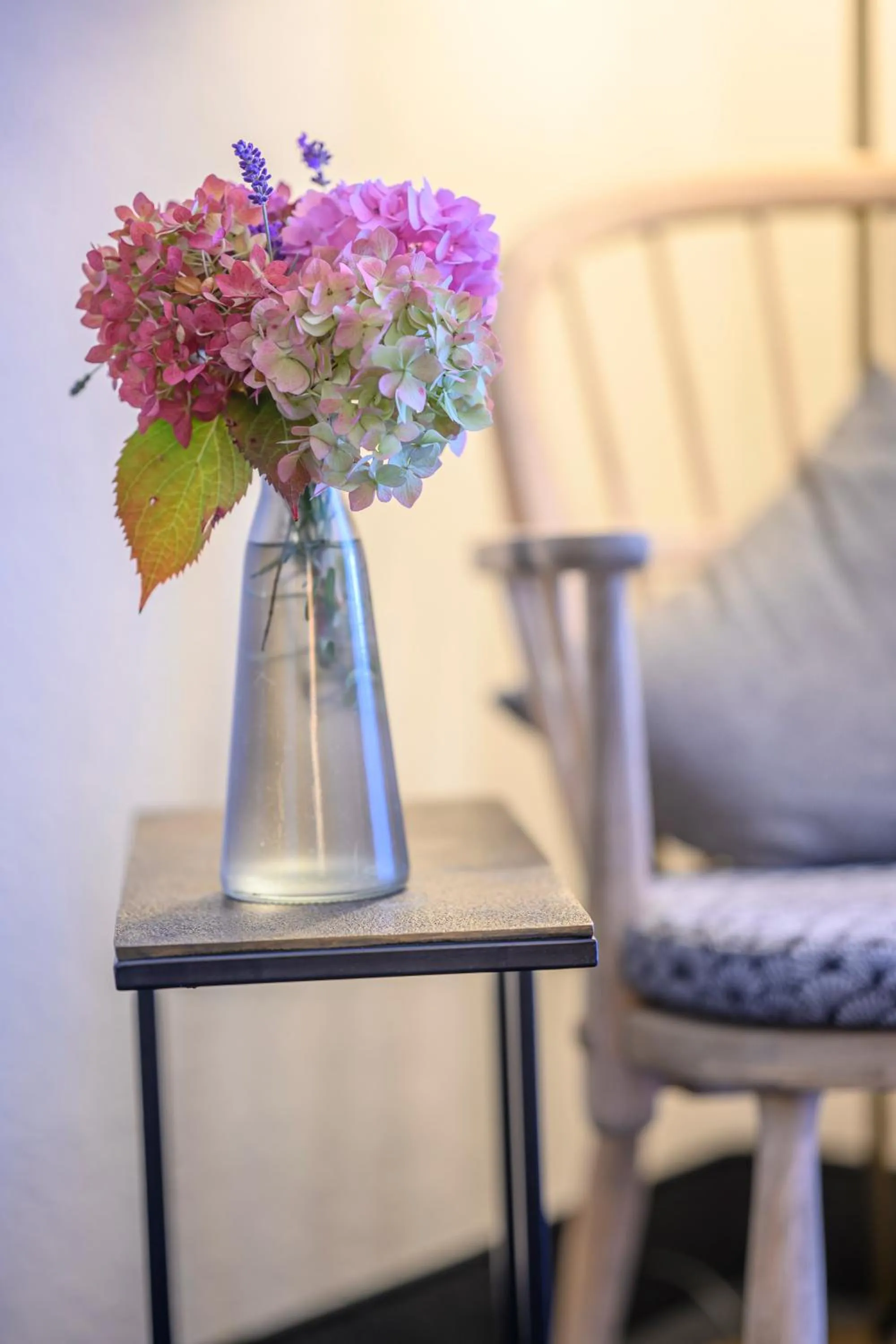 Photo of the whole room in Biohotel Garmischer Hof