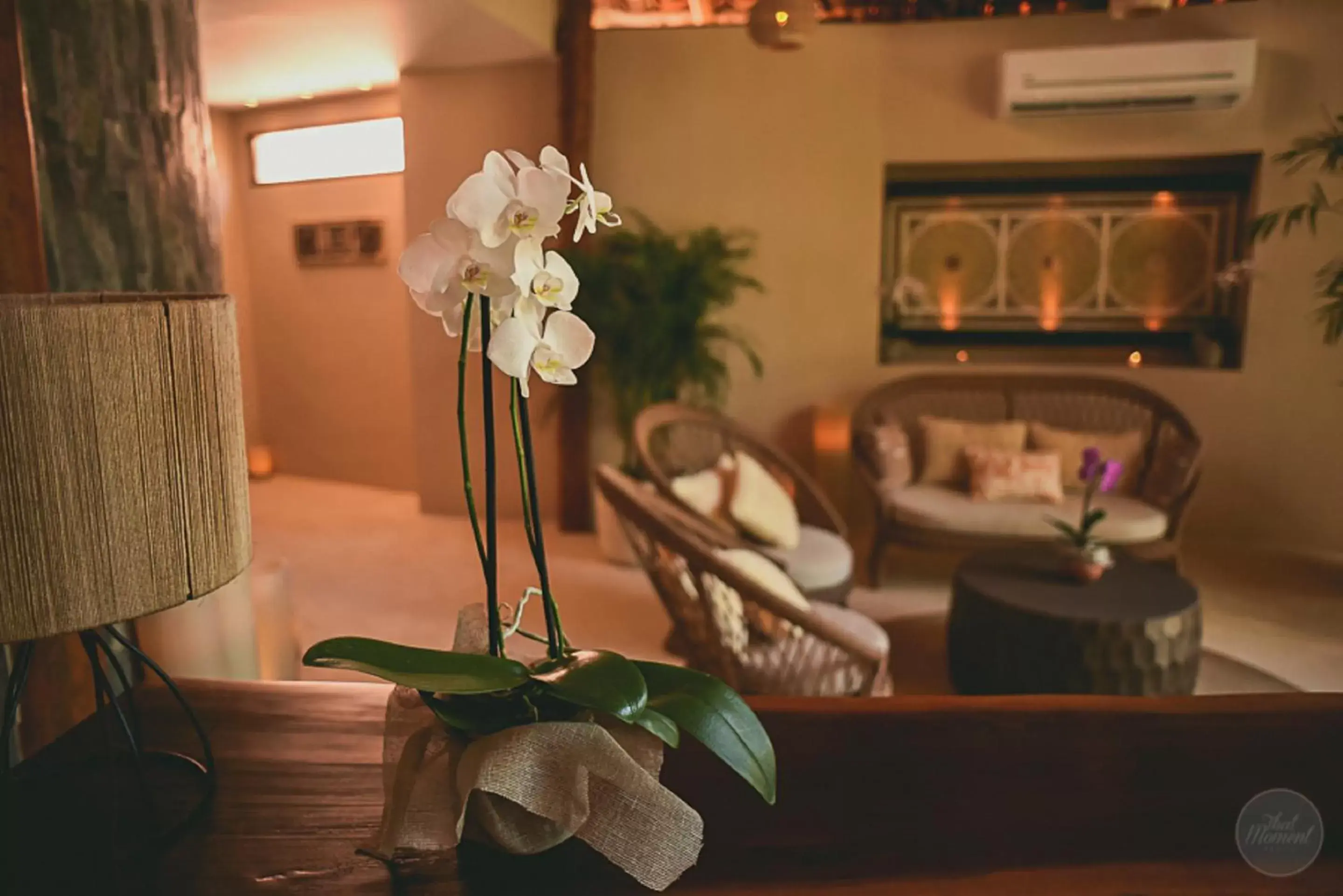 Spa and wellness centre/facilities, Lobby/Reception in Mahekal Beach Front Resort & Spa