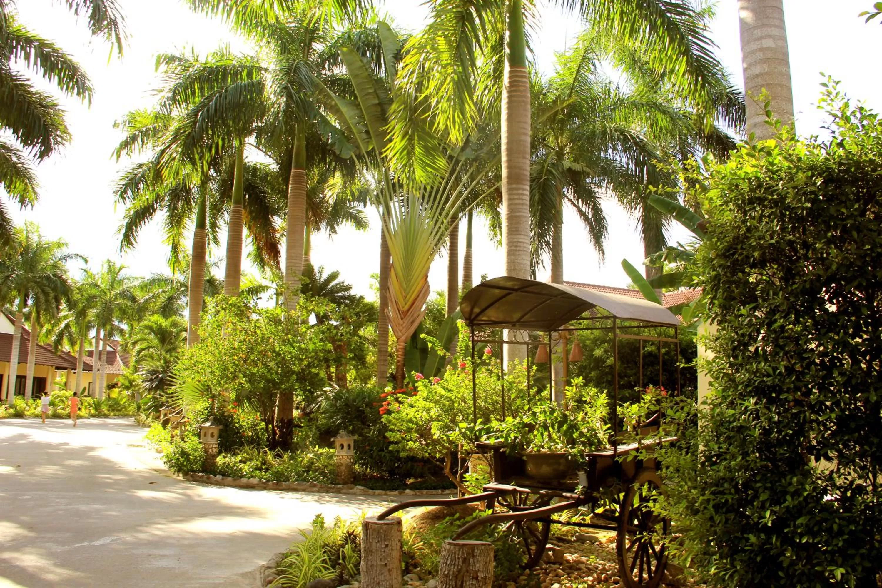 Garden in Diamond Bay Resort & Spa