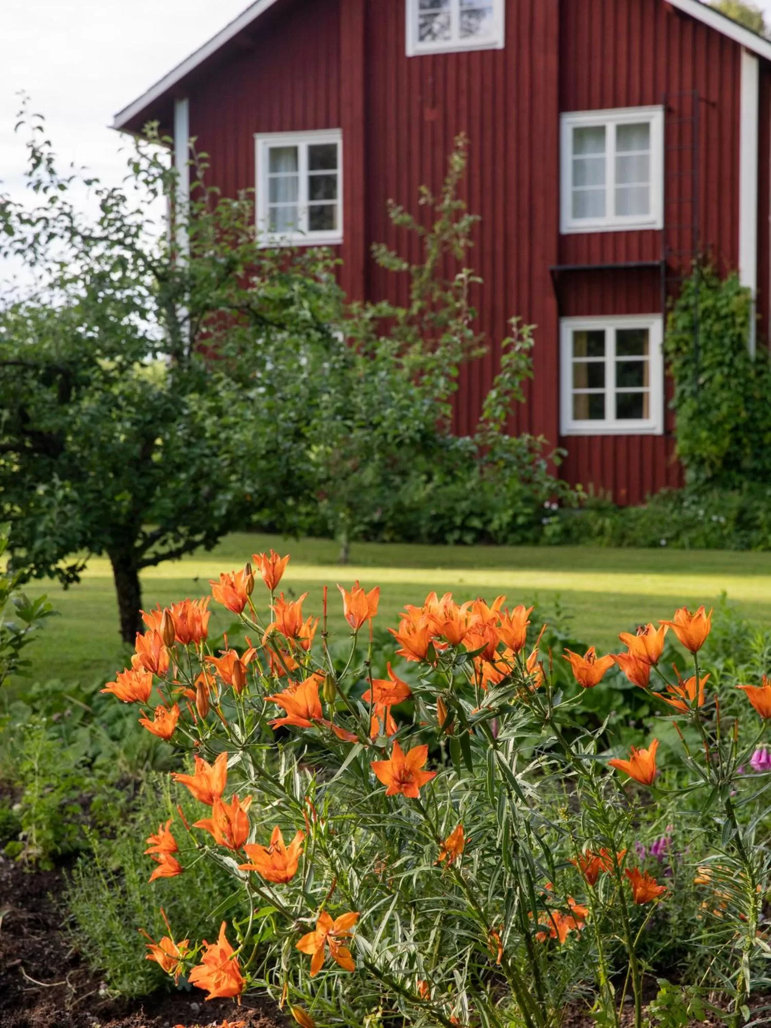 Property building in Sikfors Herrgård