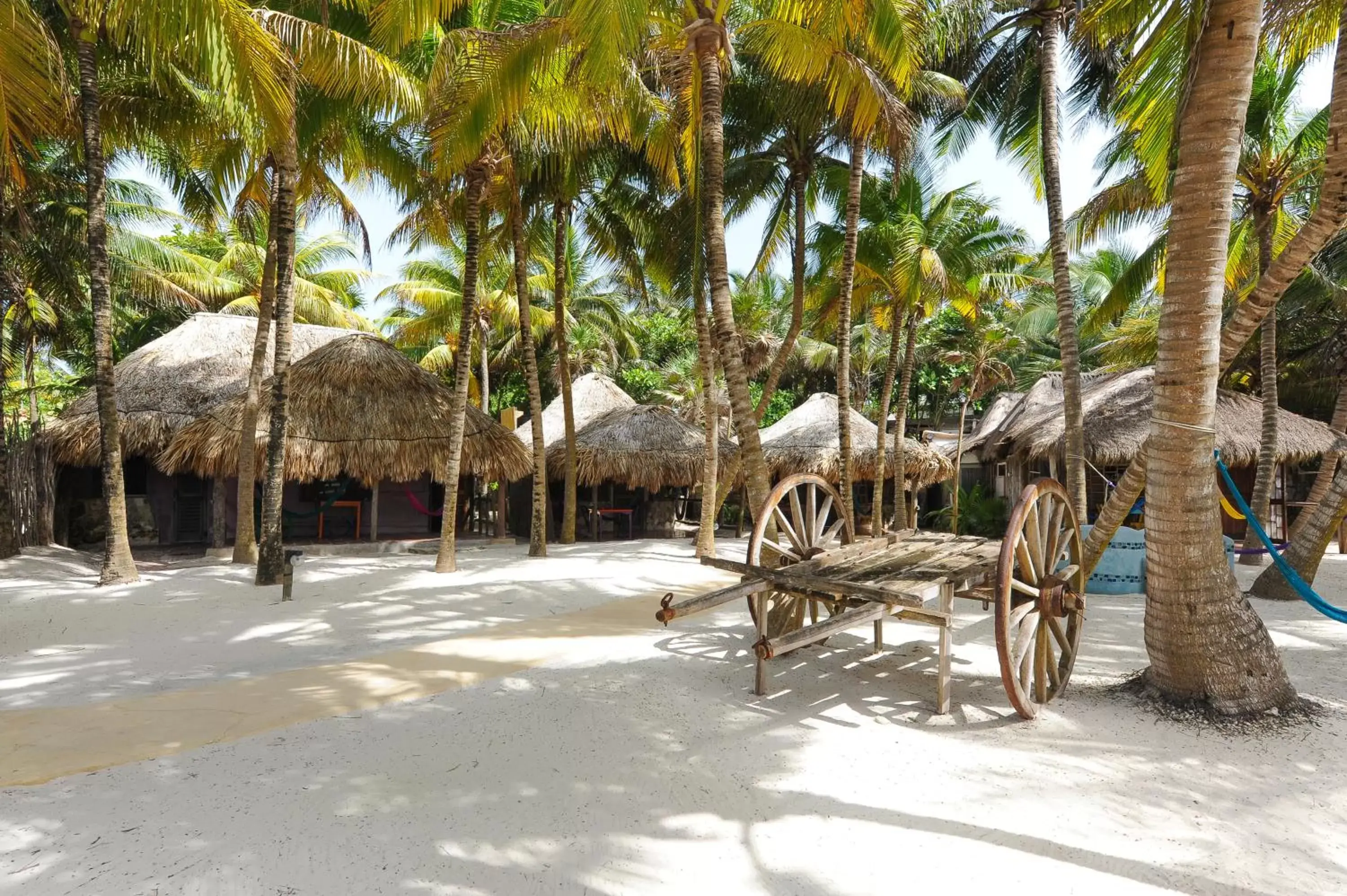 Garden view, Beach in Zamas Hotel