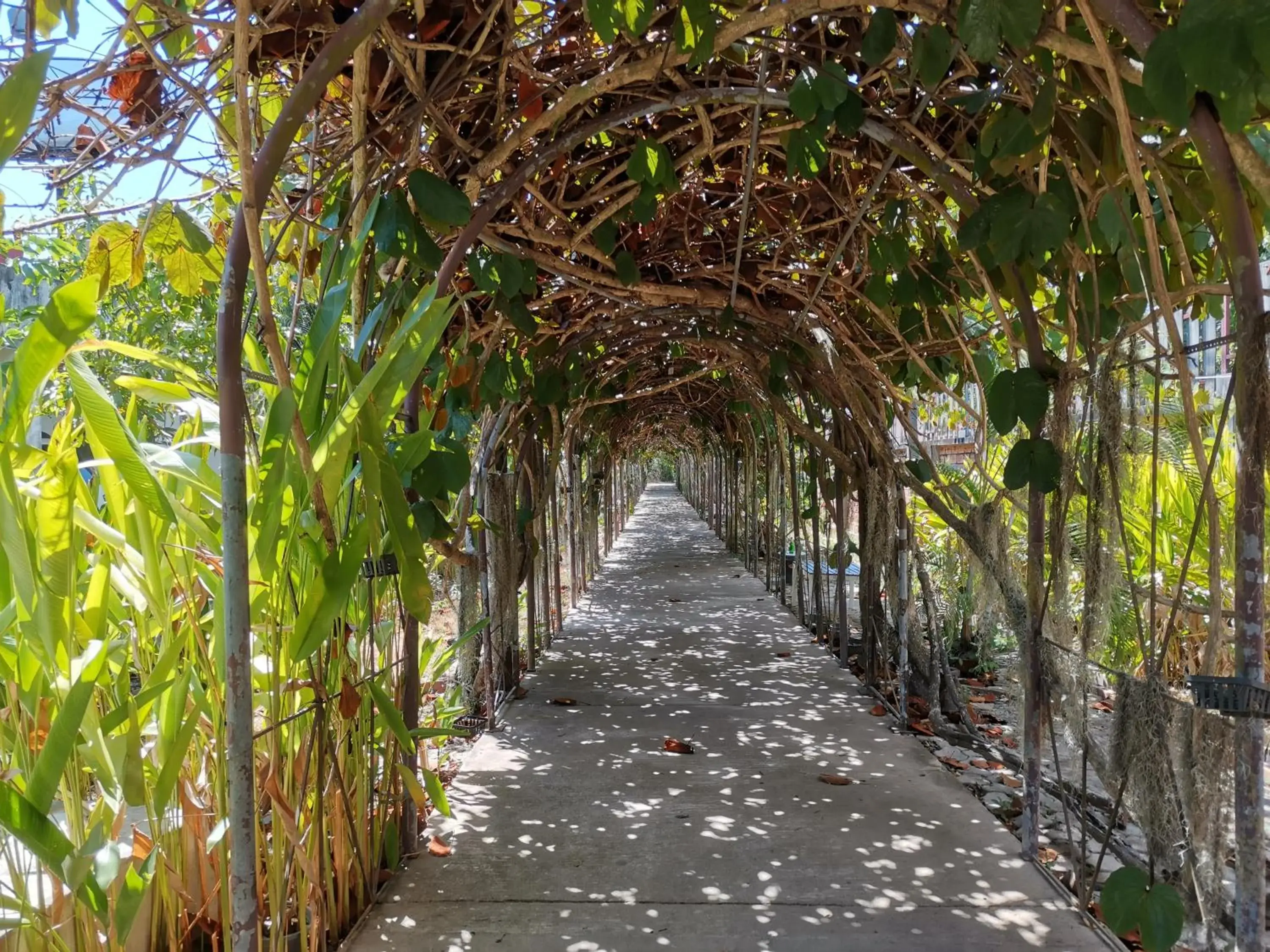 Garden in Holiday Villa Hotel