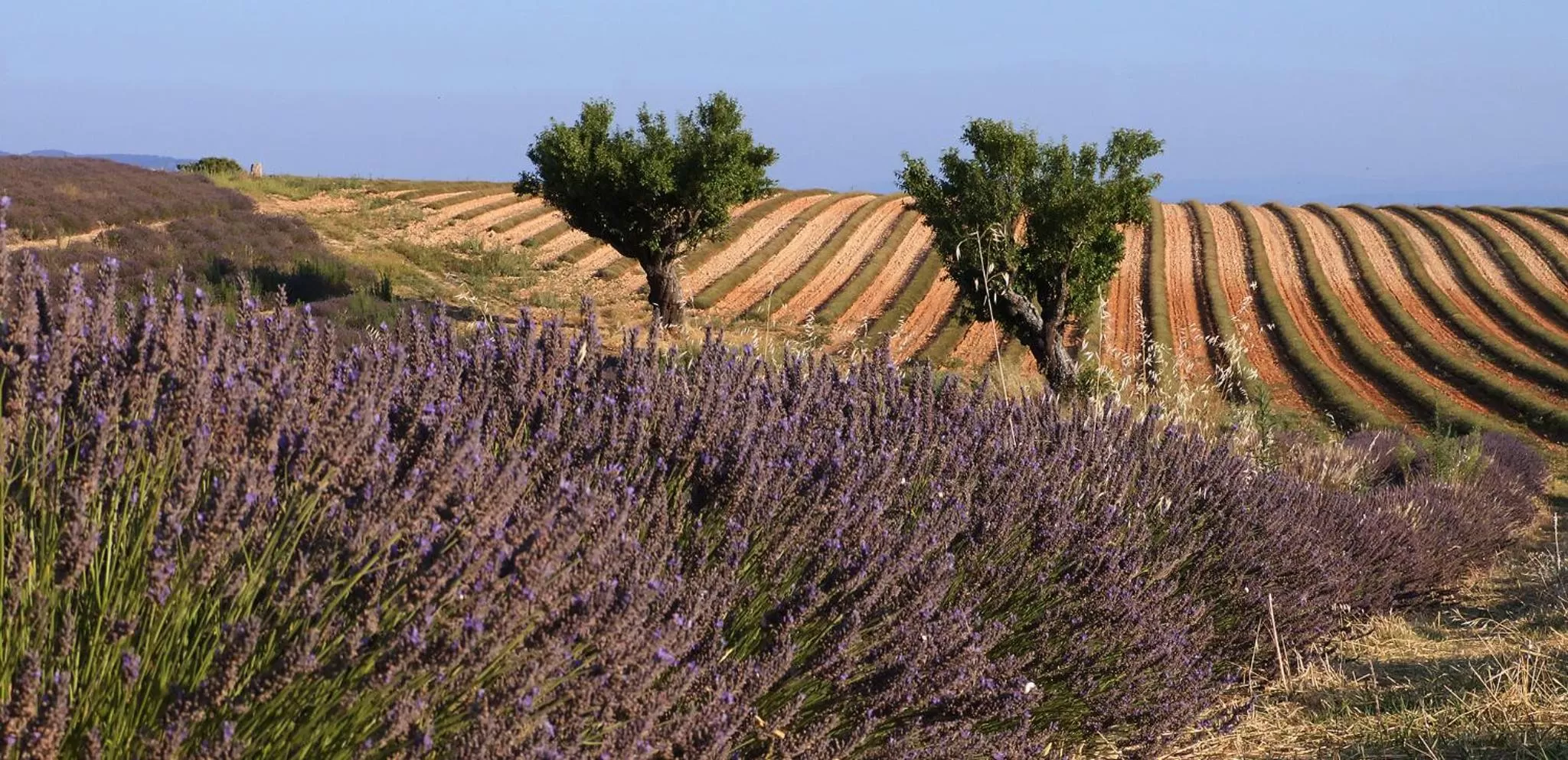 Natural landscape in Logis hôtel du terreau