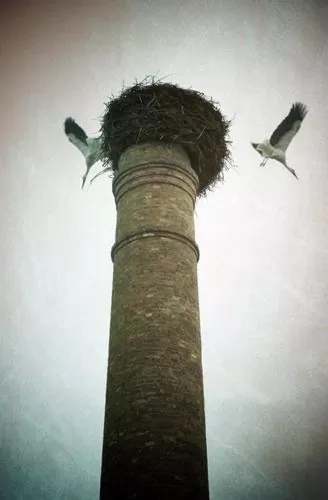 Area and facilities in Hotel Ríos