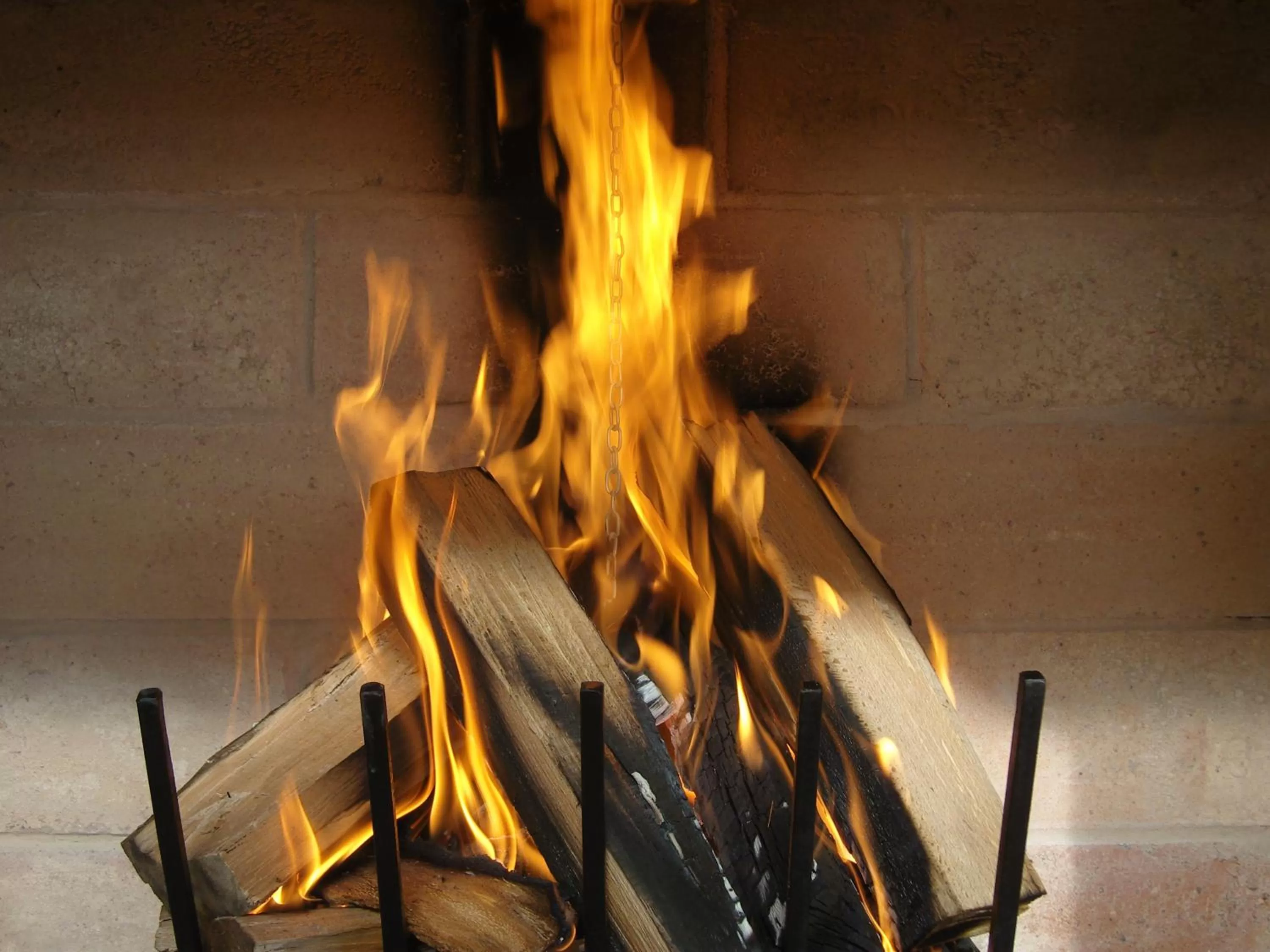 Dining area in Hotel Garden Club