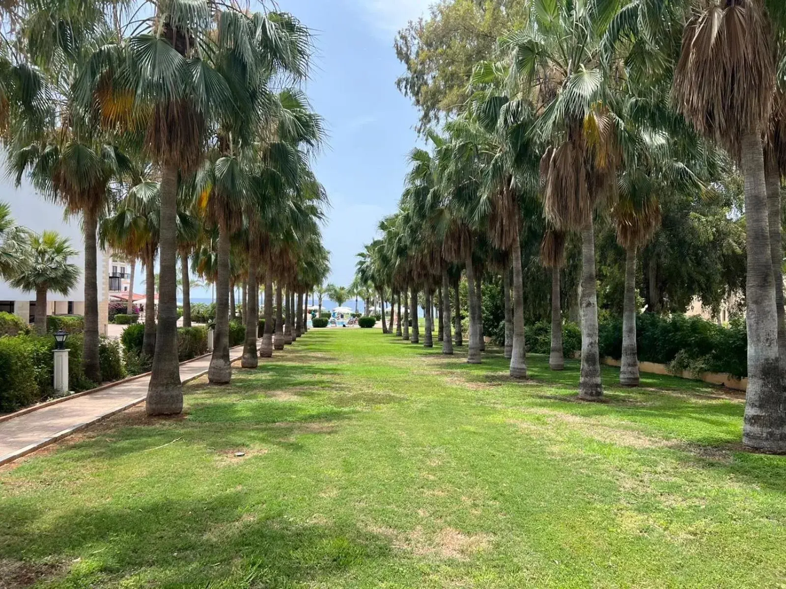 Garden in Anmaria Beach Hotel & Spa