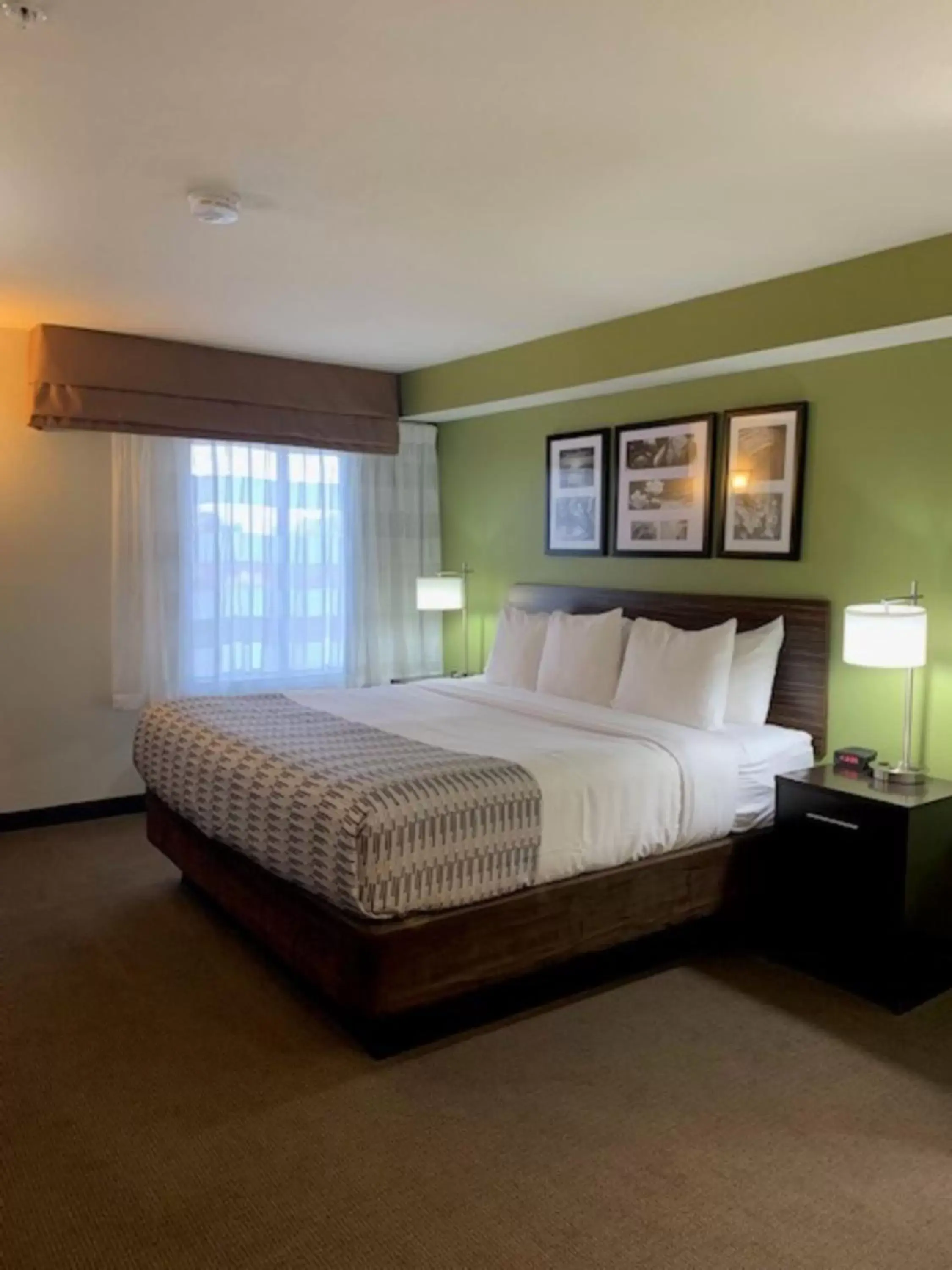 Photo of the whole room, Bed in Surestay Plus Hotel by Best Western Superstition Springs