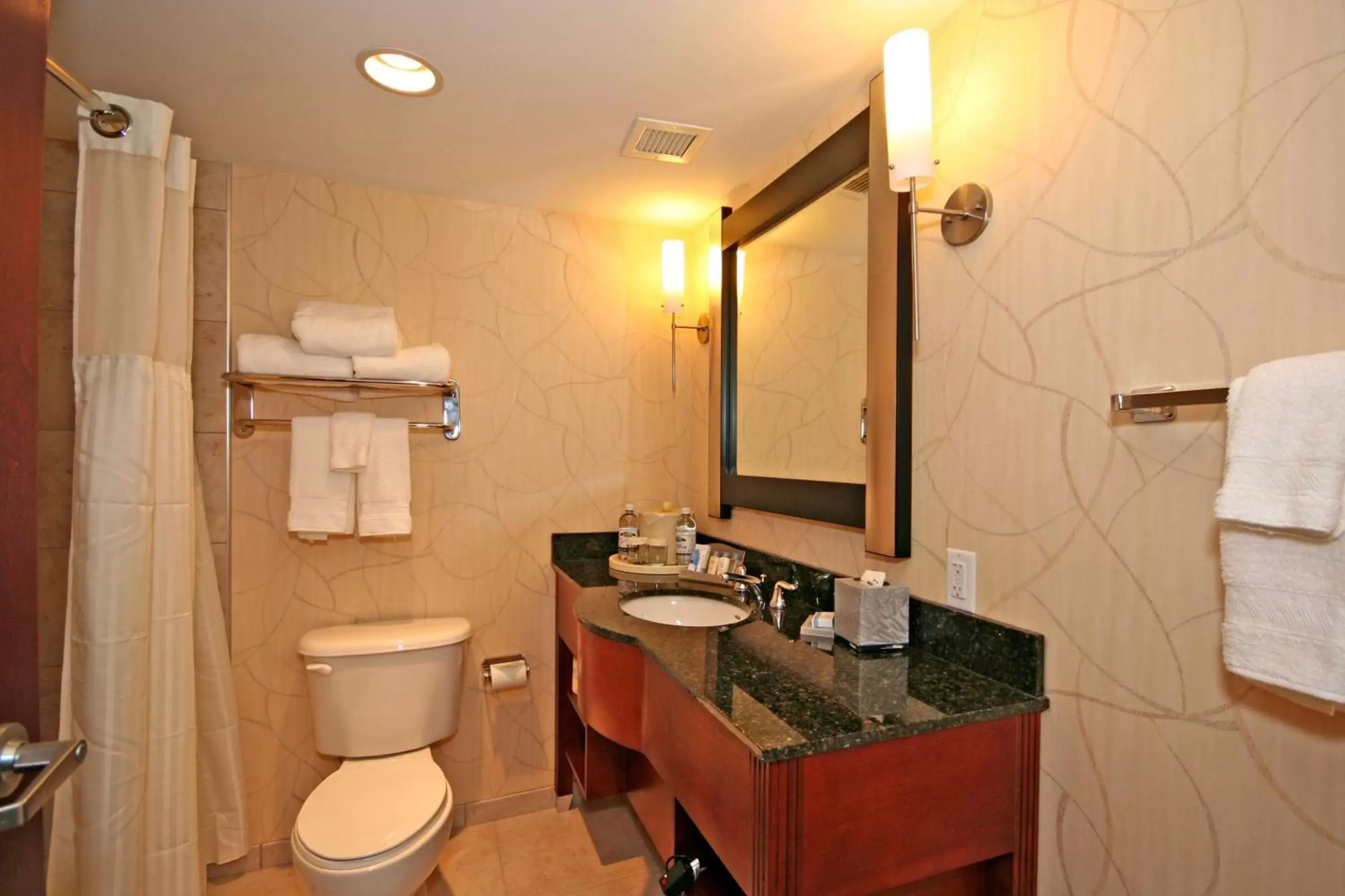 Bathroom in DoubleTree by Hilton Greensboro