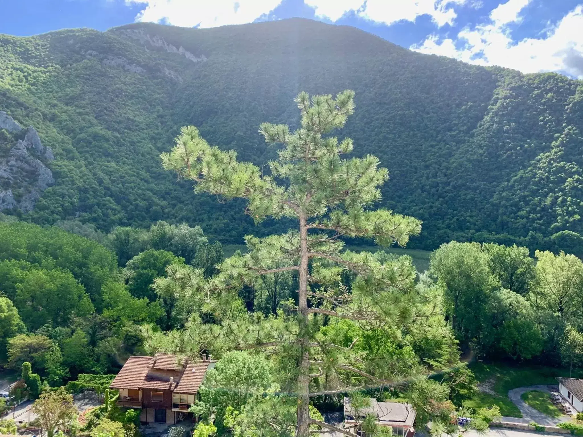 Natural Landscape in La Forestale Luxury Ecolodge B&B Primo Piano