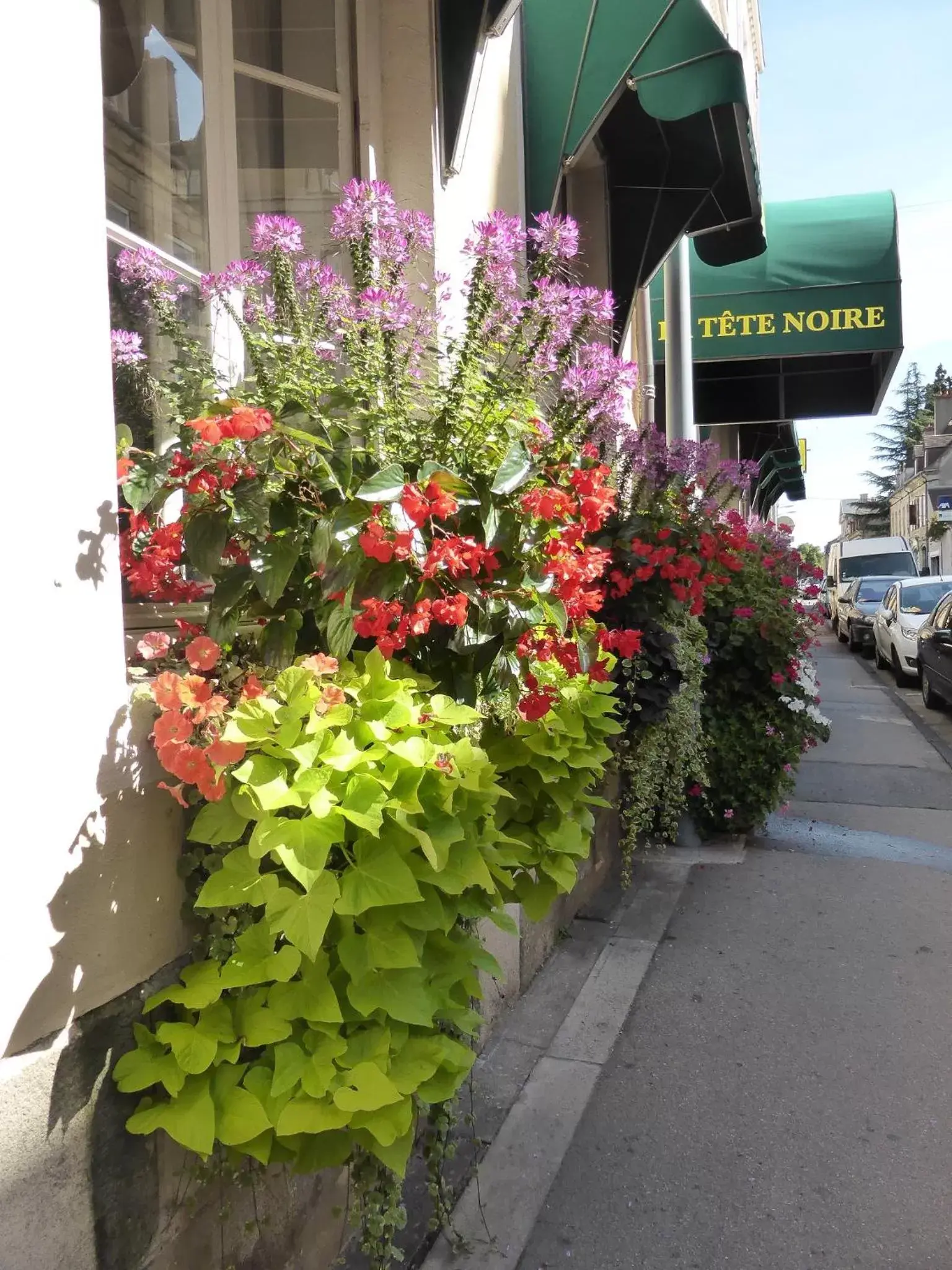 Property Building in Logis Hôtel de la Tête Noire