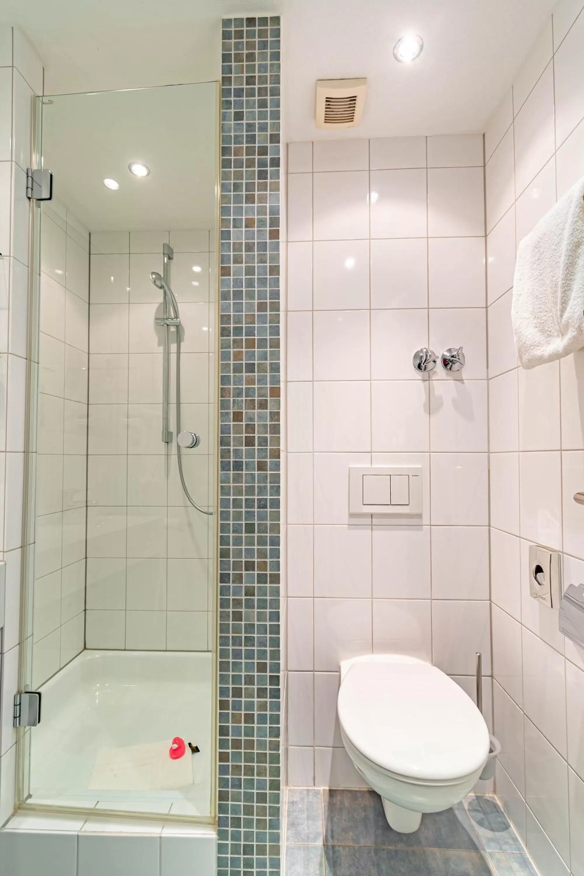 Toilet in Parkhotel Sonnenberg