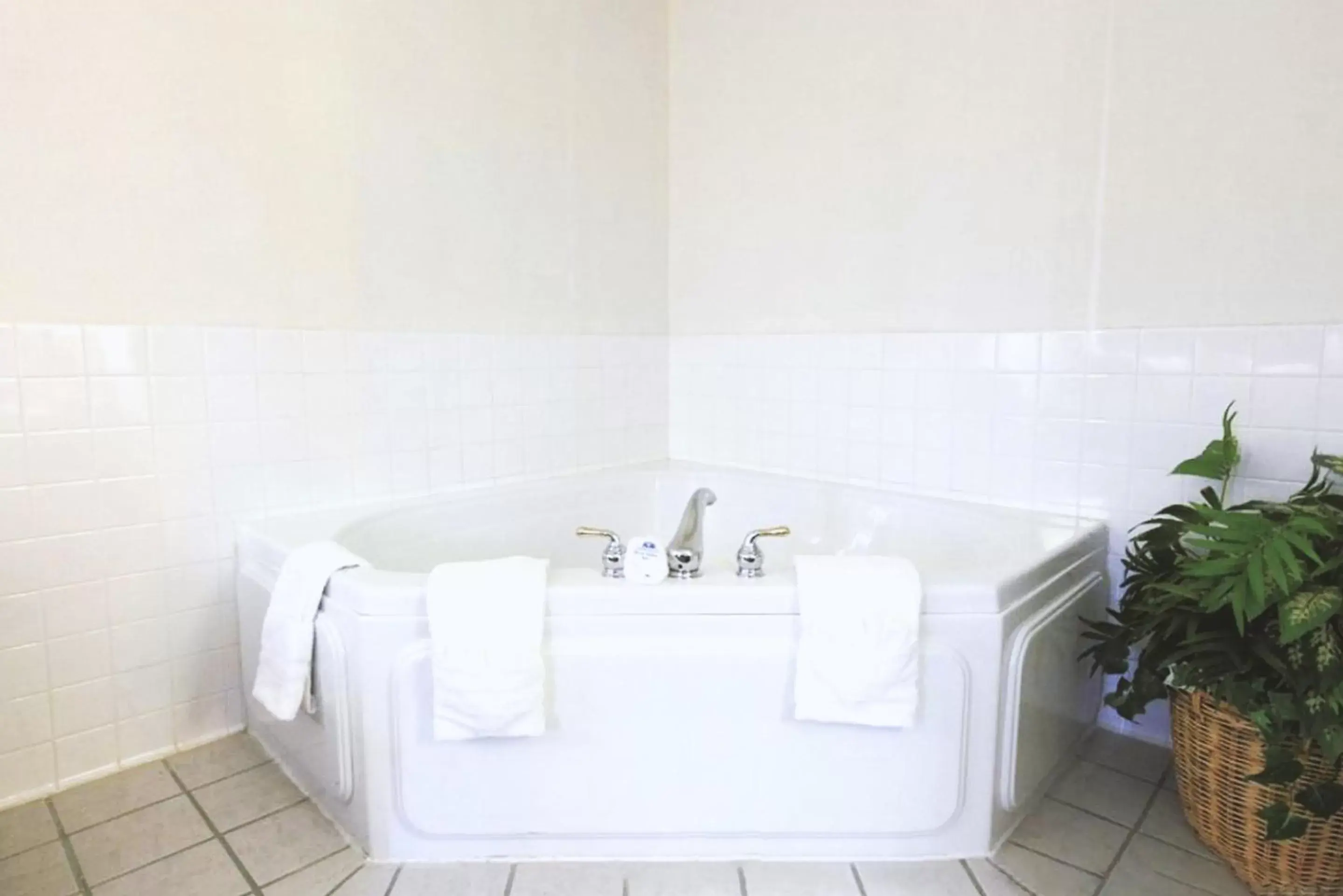 Hot Tub, Bathroom in Coratel Inn & Suites by Jasper Northfield
