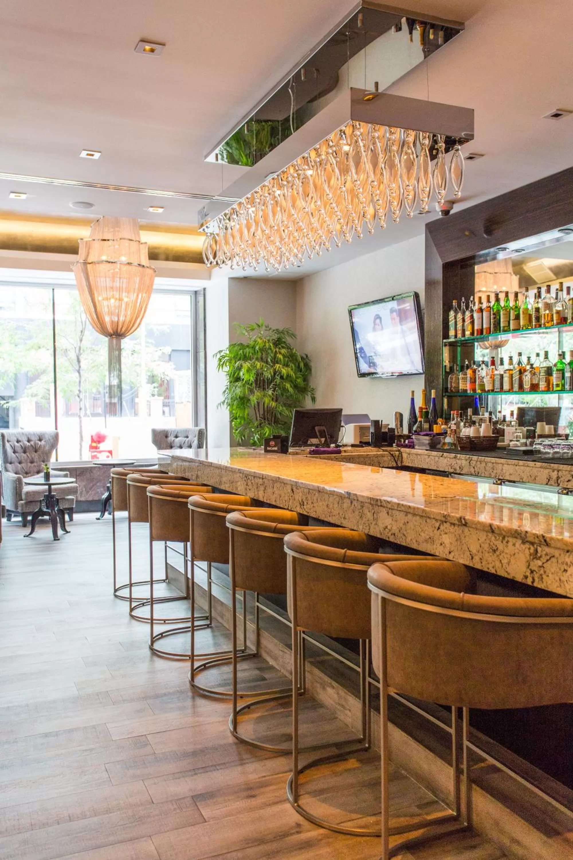 Food and drinks in Ivy Boutique Hotel