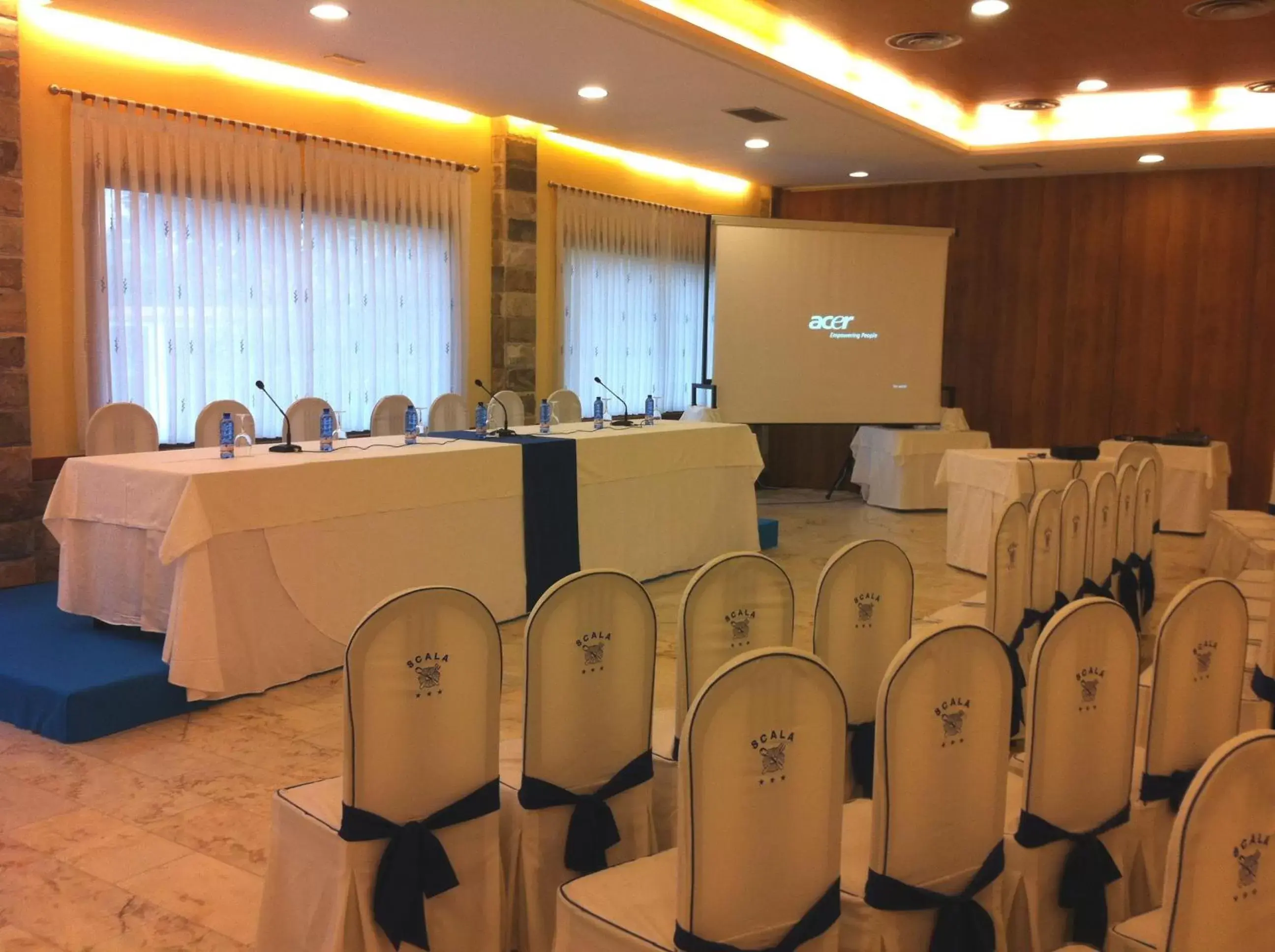 Business facilities in Hotel Scala