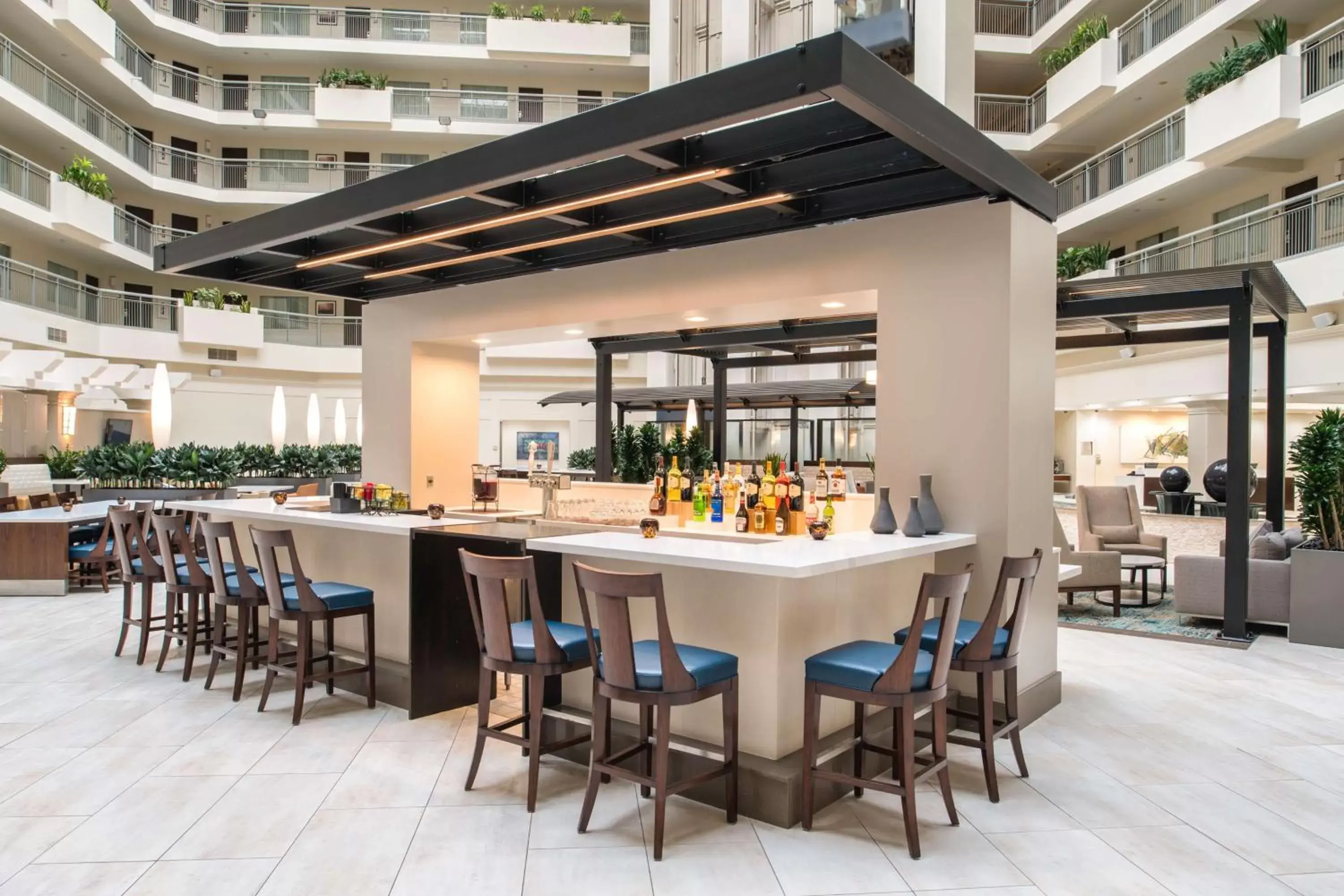Lounge or bar, Restaurant/Places to Eat in Embassy Suites By Hilton Seattle - Tacoma International Airport