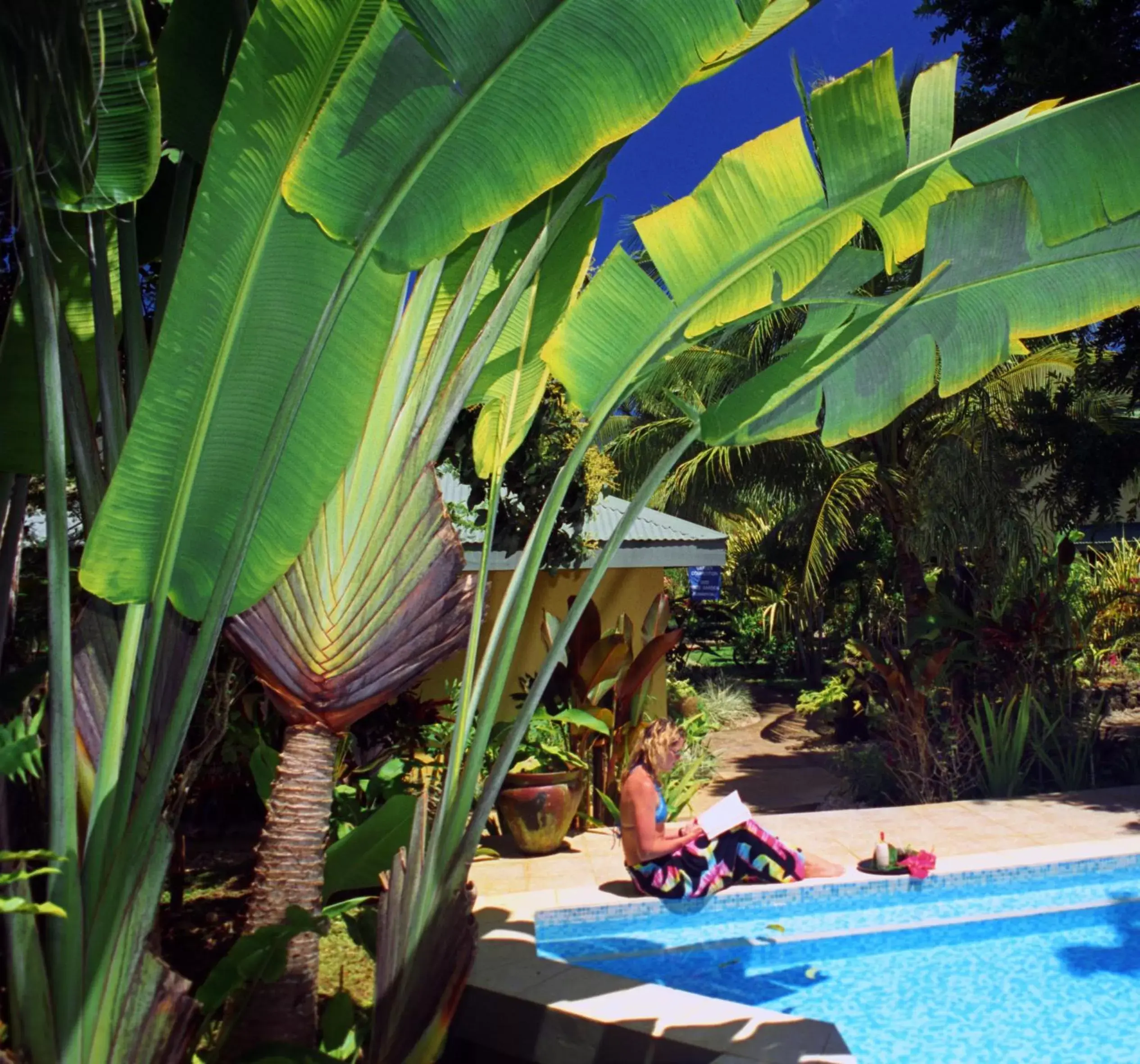 Swimming Pool in Poppy's on the Lagoon