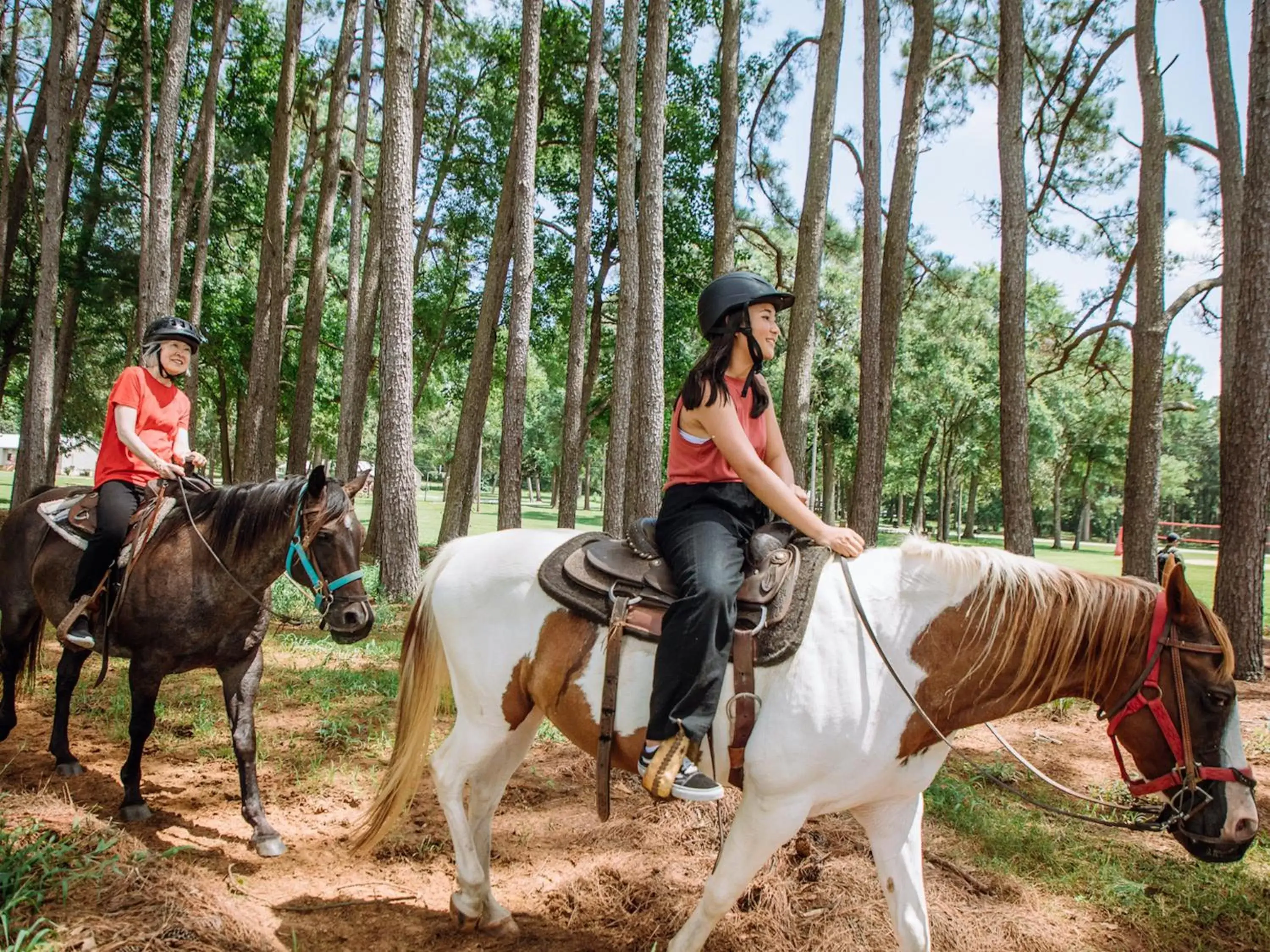 Fitness centre/facilities, Horseback Riding in Holiday Inn Club Vacations Villages Resort at Lake Palestine