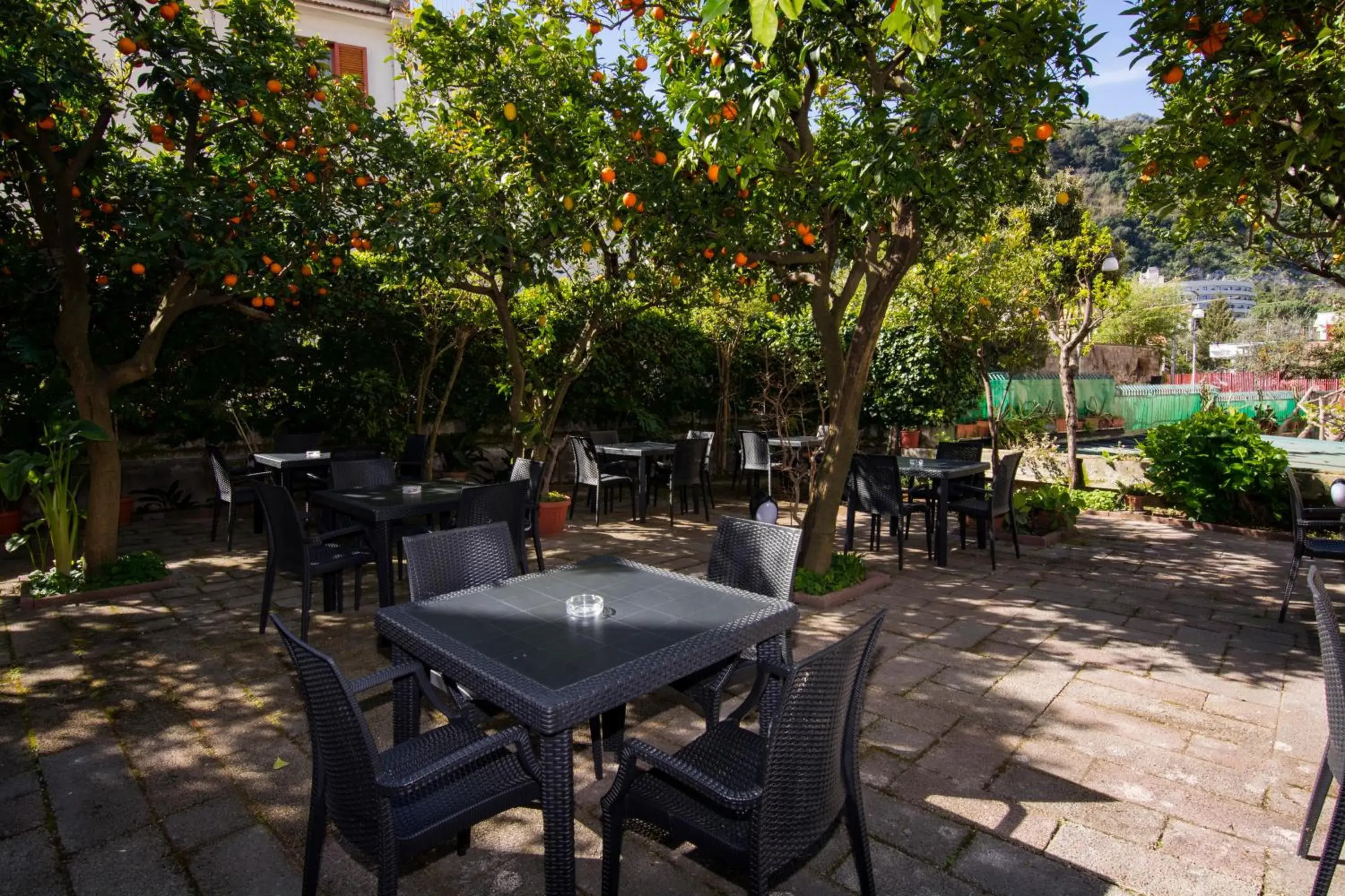 Garden view, Restaurant/Places to Eat in Hotel Leone