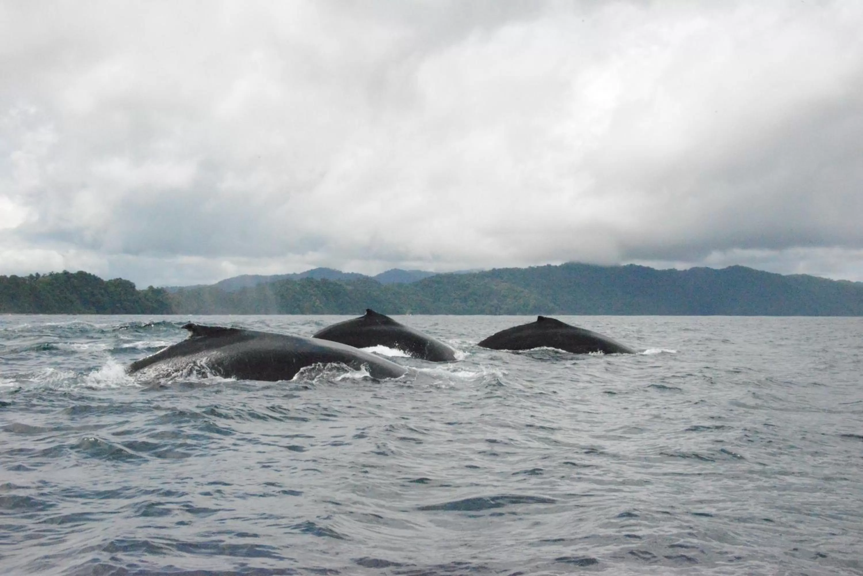 Activities in Posada Turística Rocas De Cabo Marzo