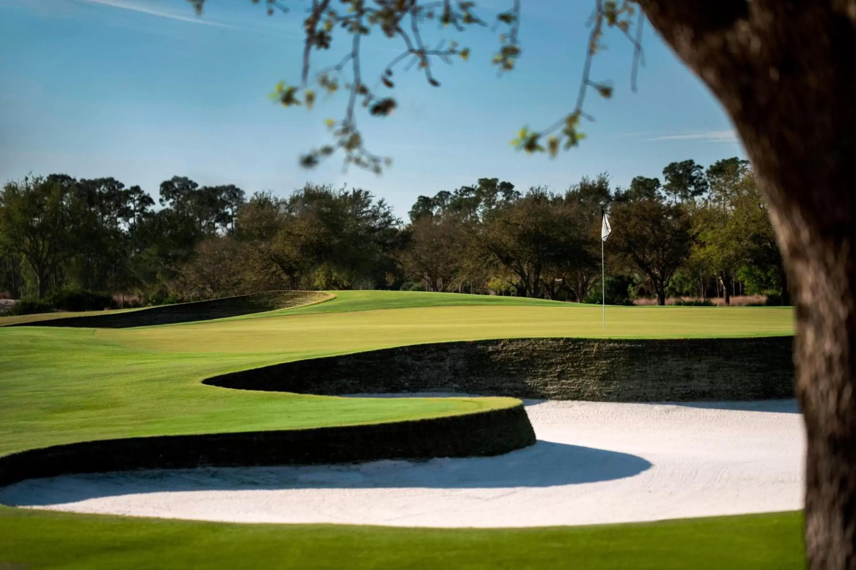 Golfcourse, Golf in The Ritz-Carlton Naples, Tiburón