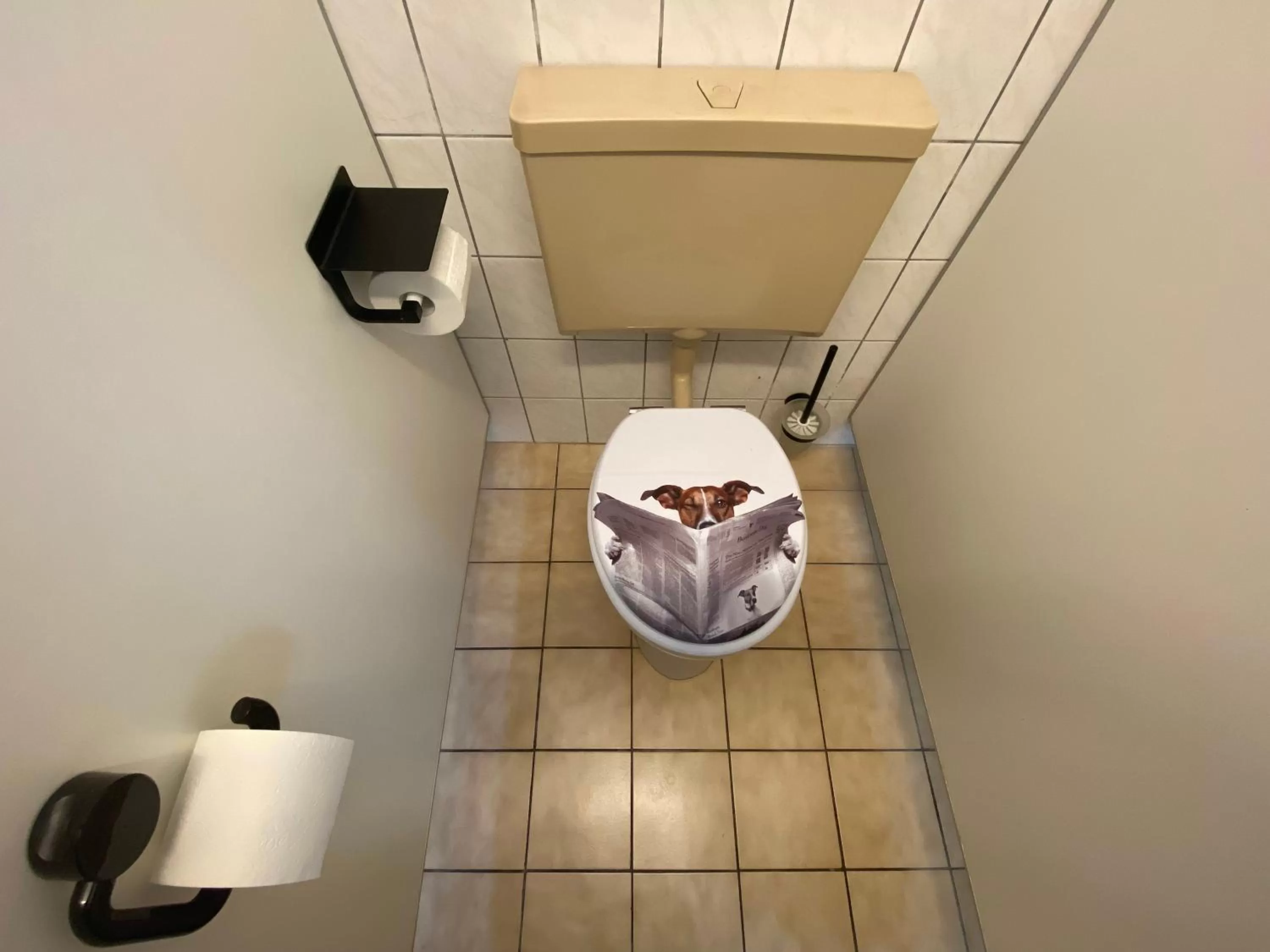 Toilet in Hotel Bielatal