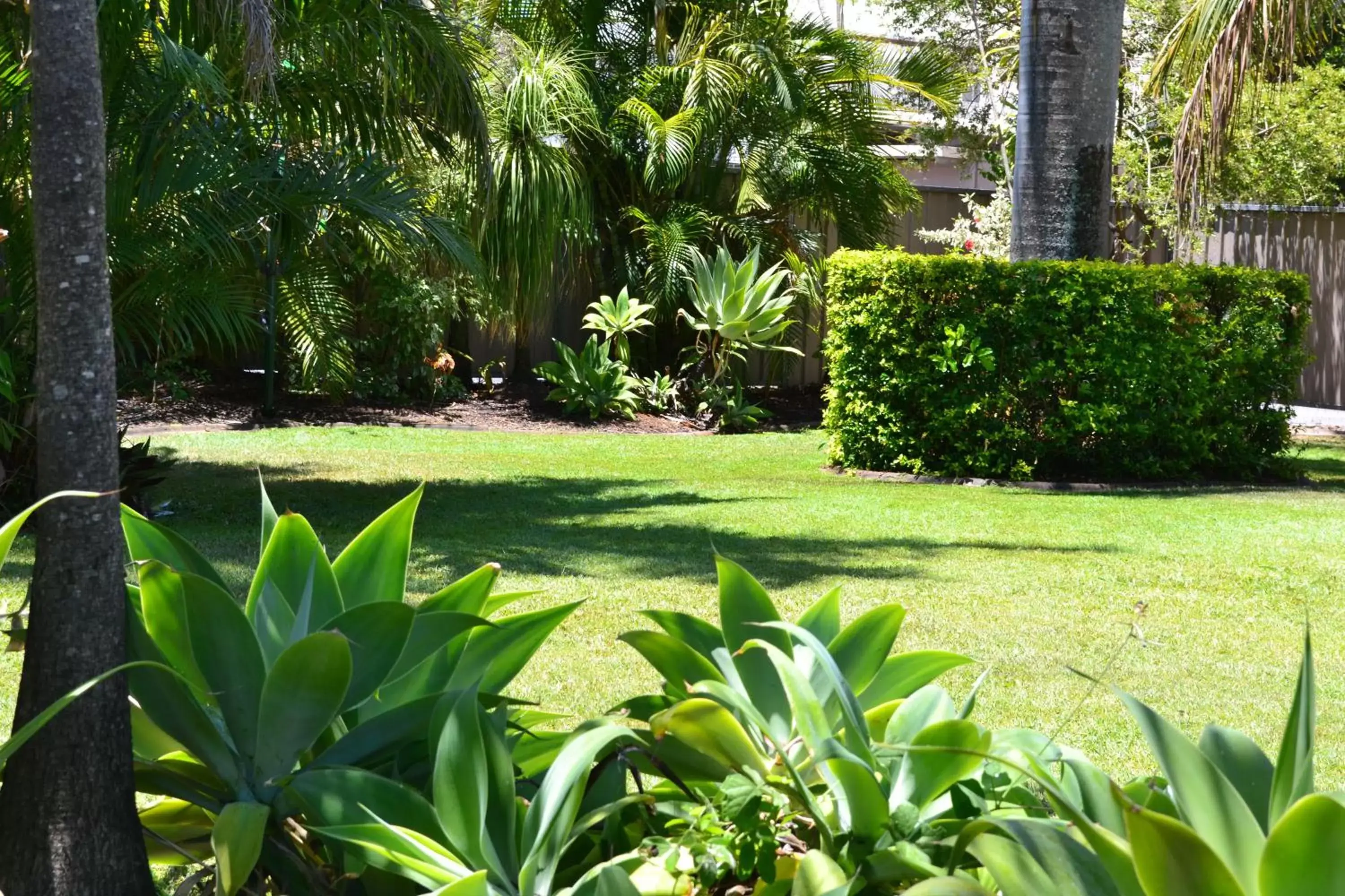Garden in Rockhampton Riverside Central Hotel