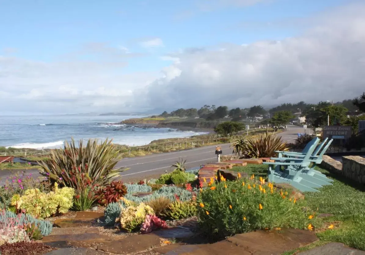 Natural landscape in Cambria Shores Inn