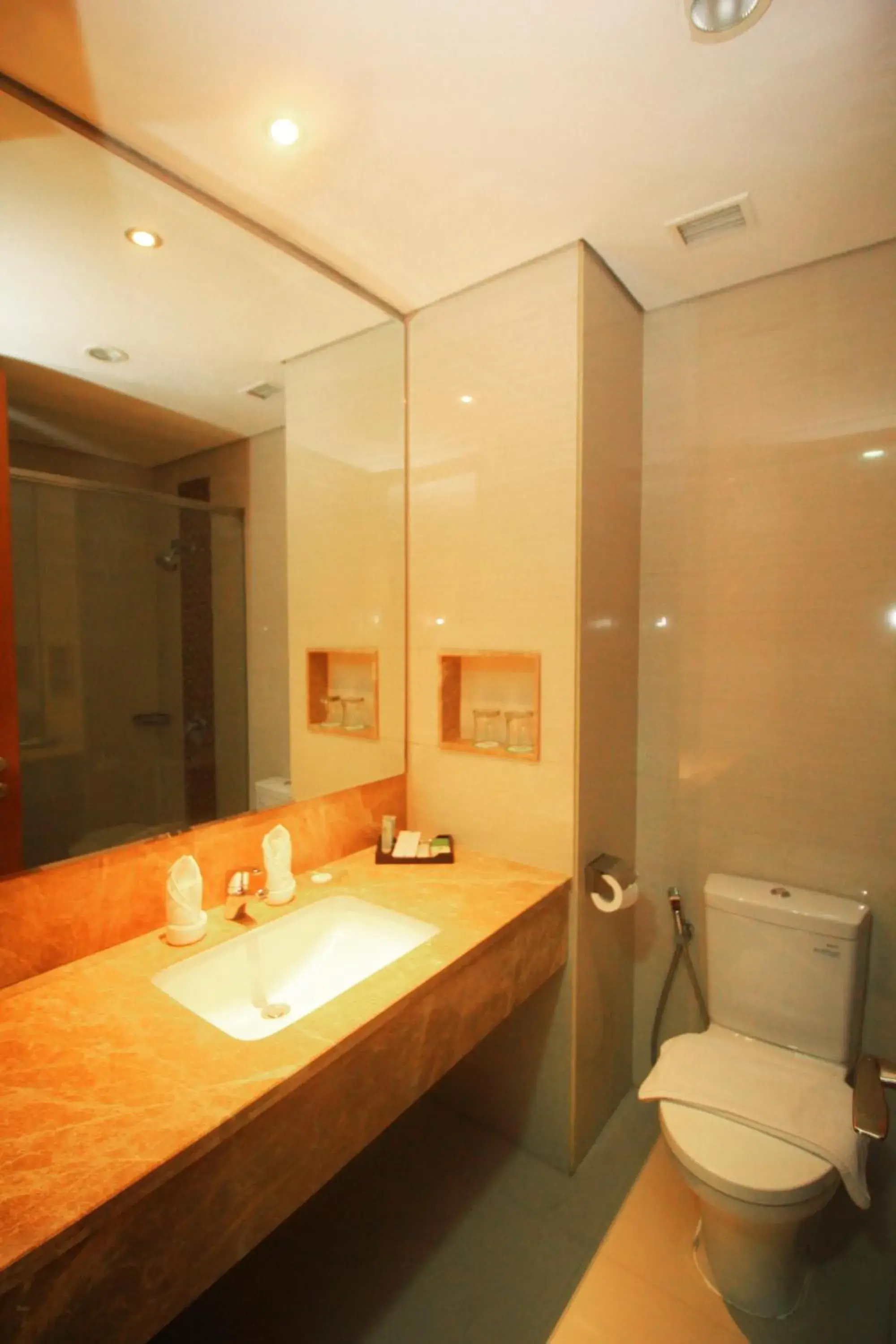 Toilet, Bathroom in Hotel On The Rock By Prasanthi