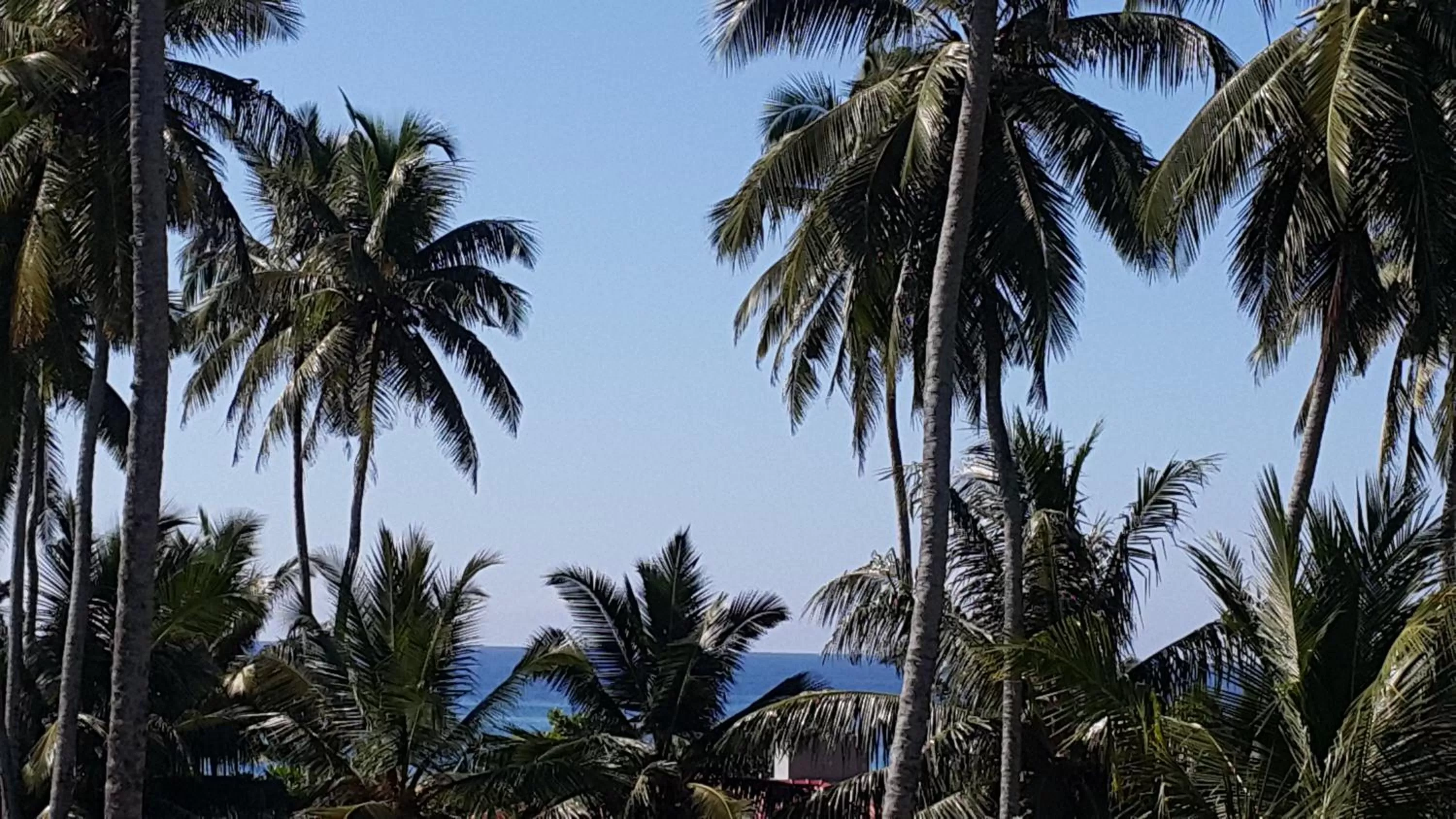 Sea view in Green Almond Hotel