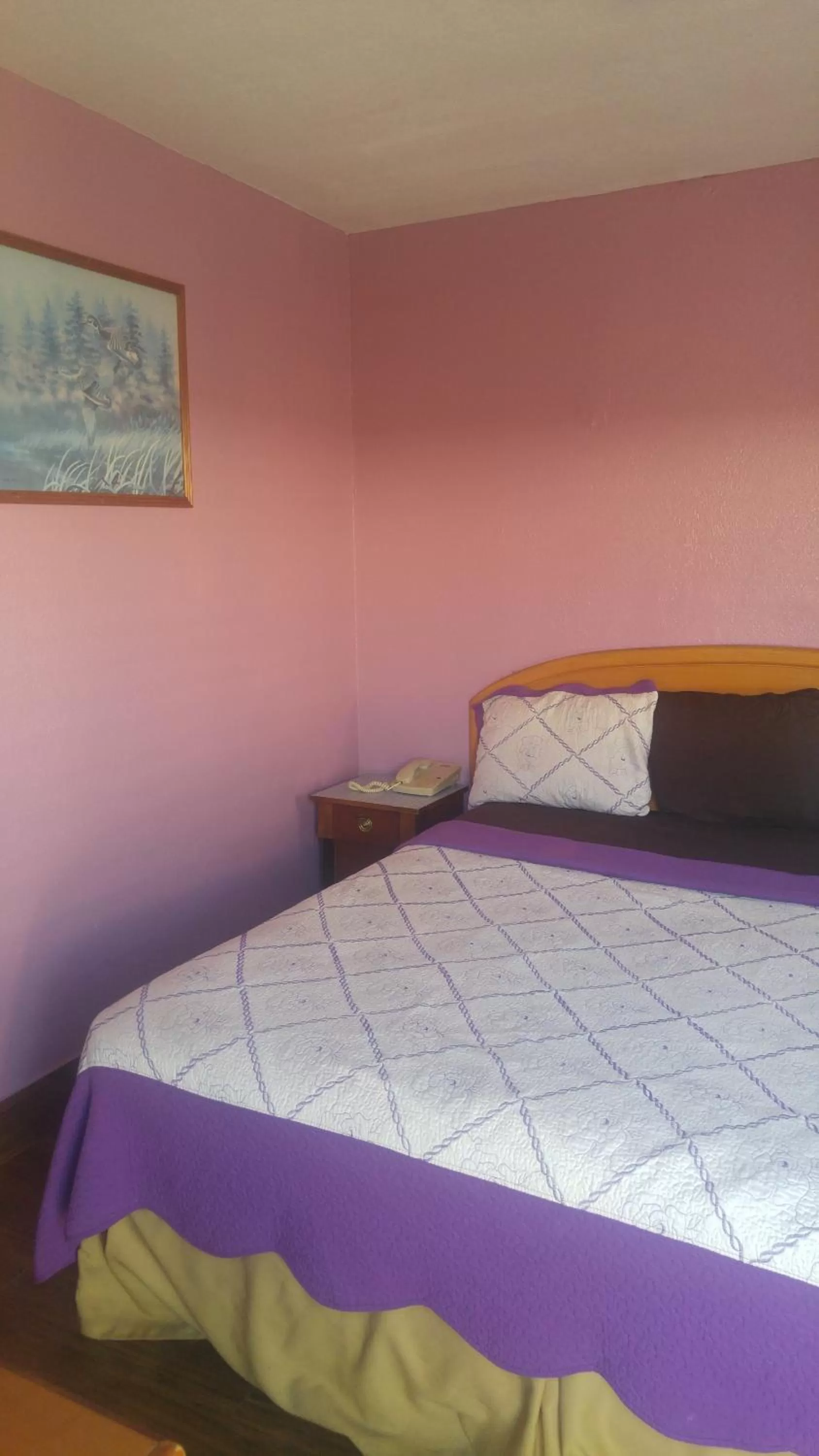 Bedroom, Bed in Travel Eagle Inn Motel