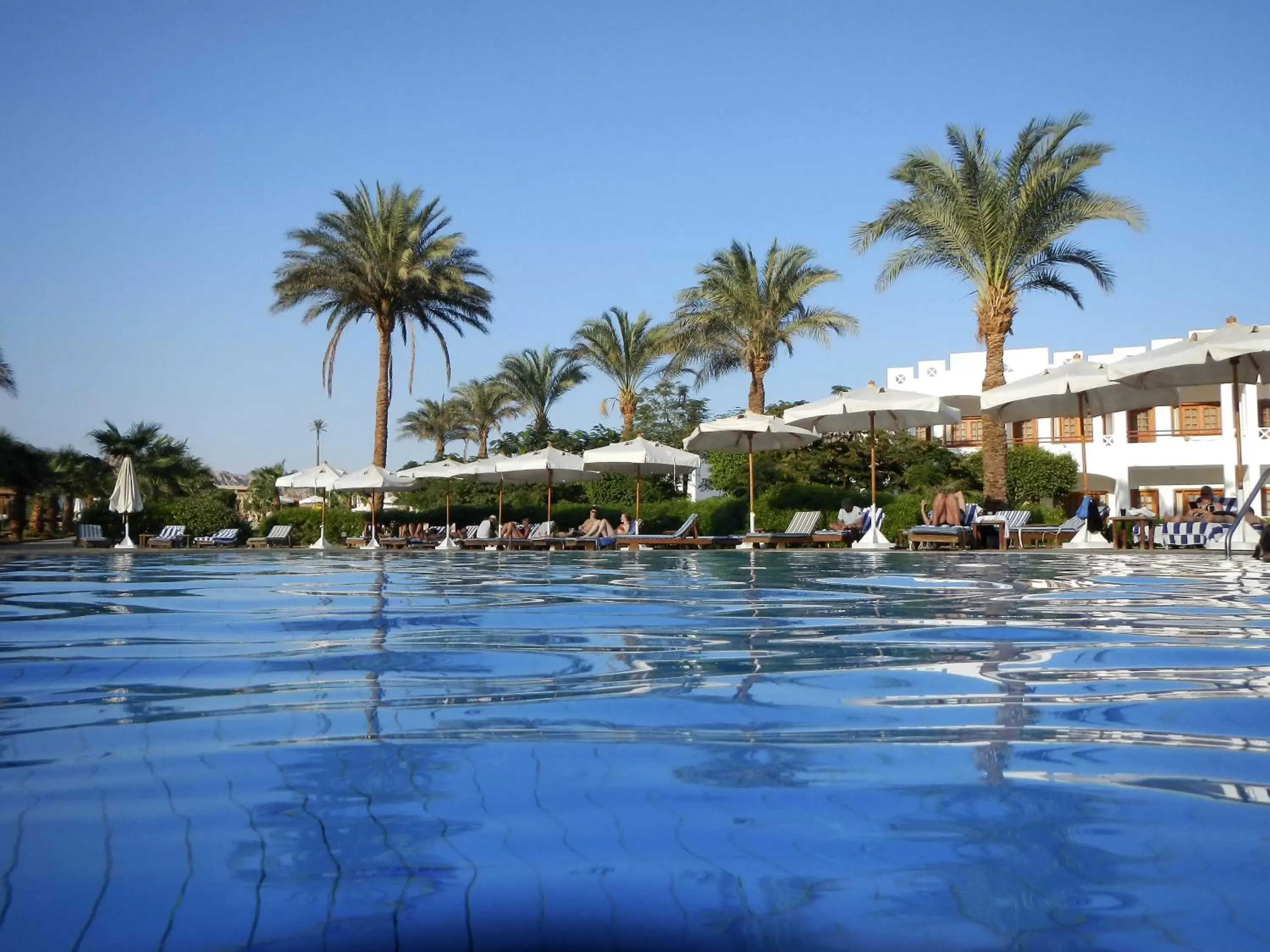 Pool view, Swimming Pool in Happy Life Village Dahab