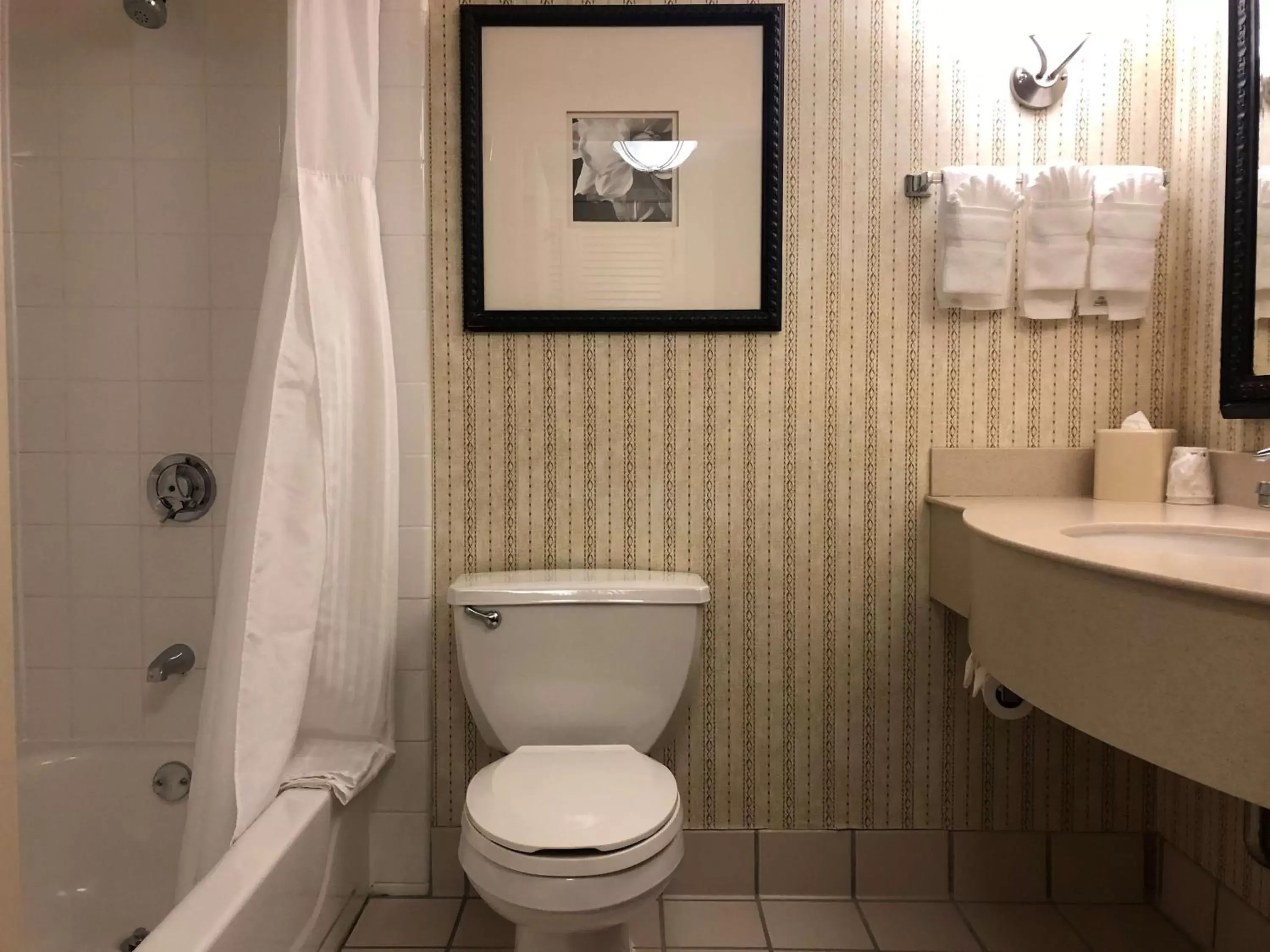Bathroom in Hilton Garden Inn Addison
