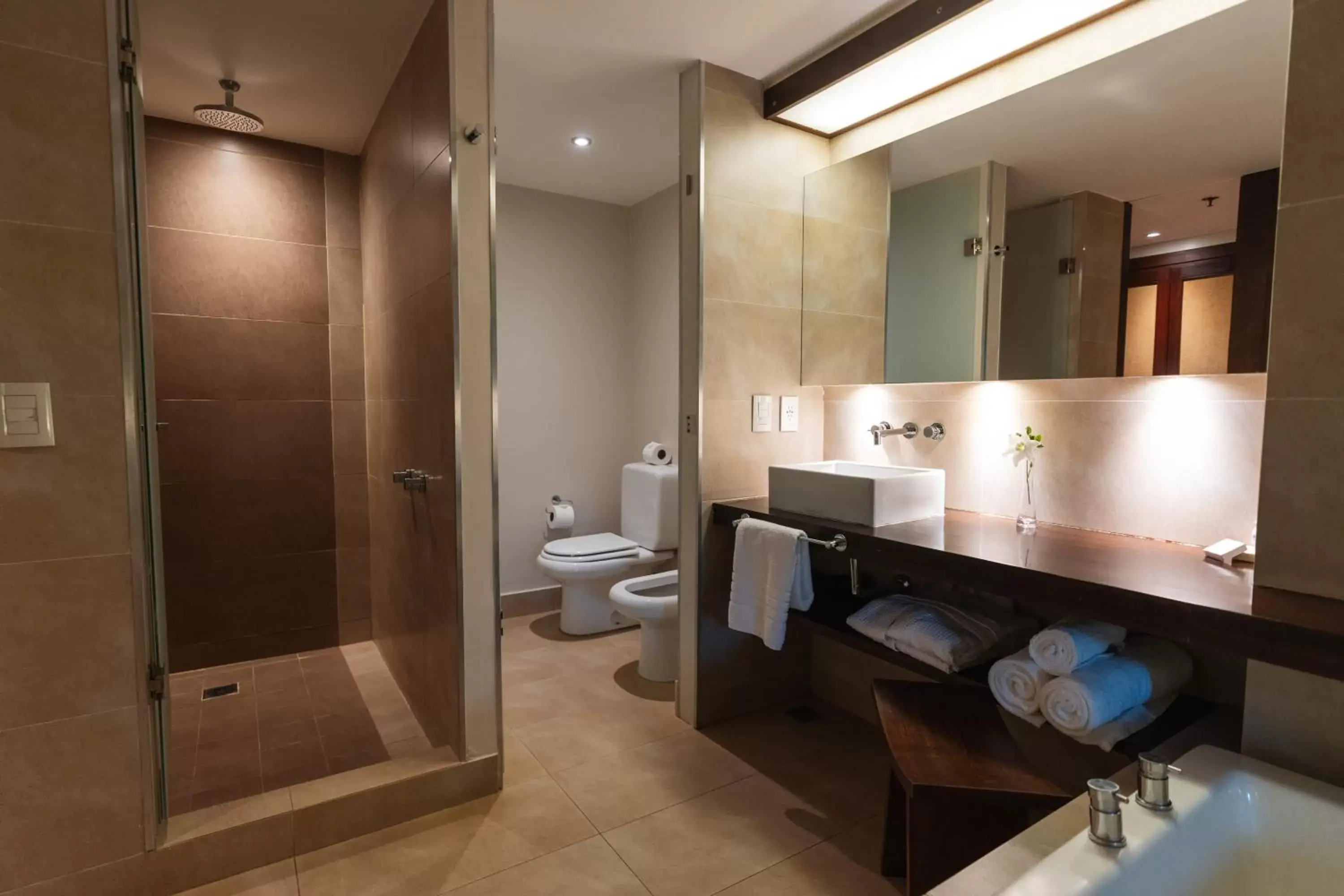 Shower, Bathroom in Loi Suites Iguazu Hotel