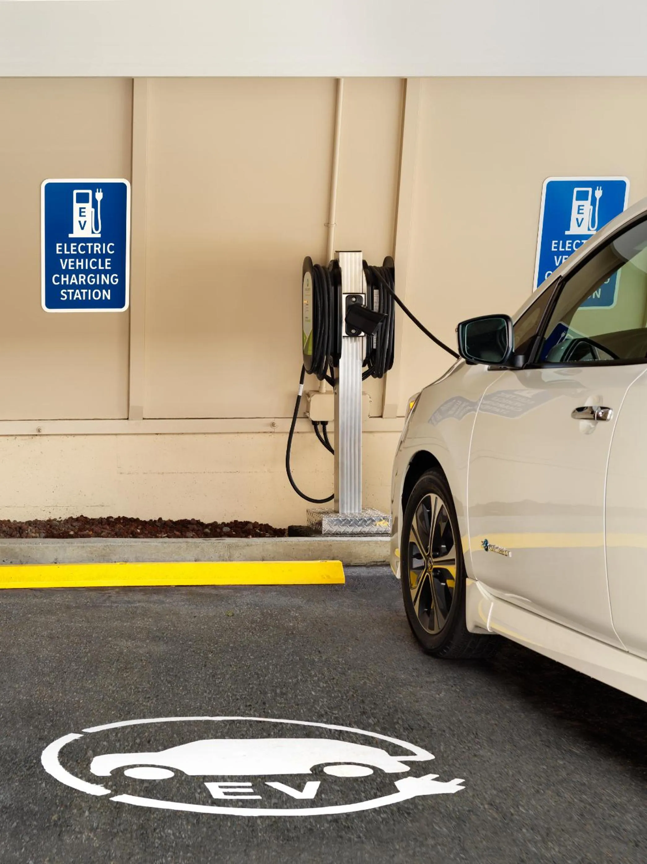 Area and facilities in Royal Scot Hotel & Suites