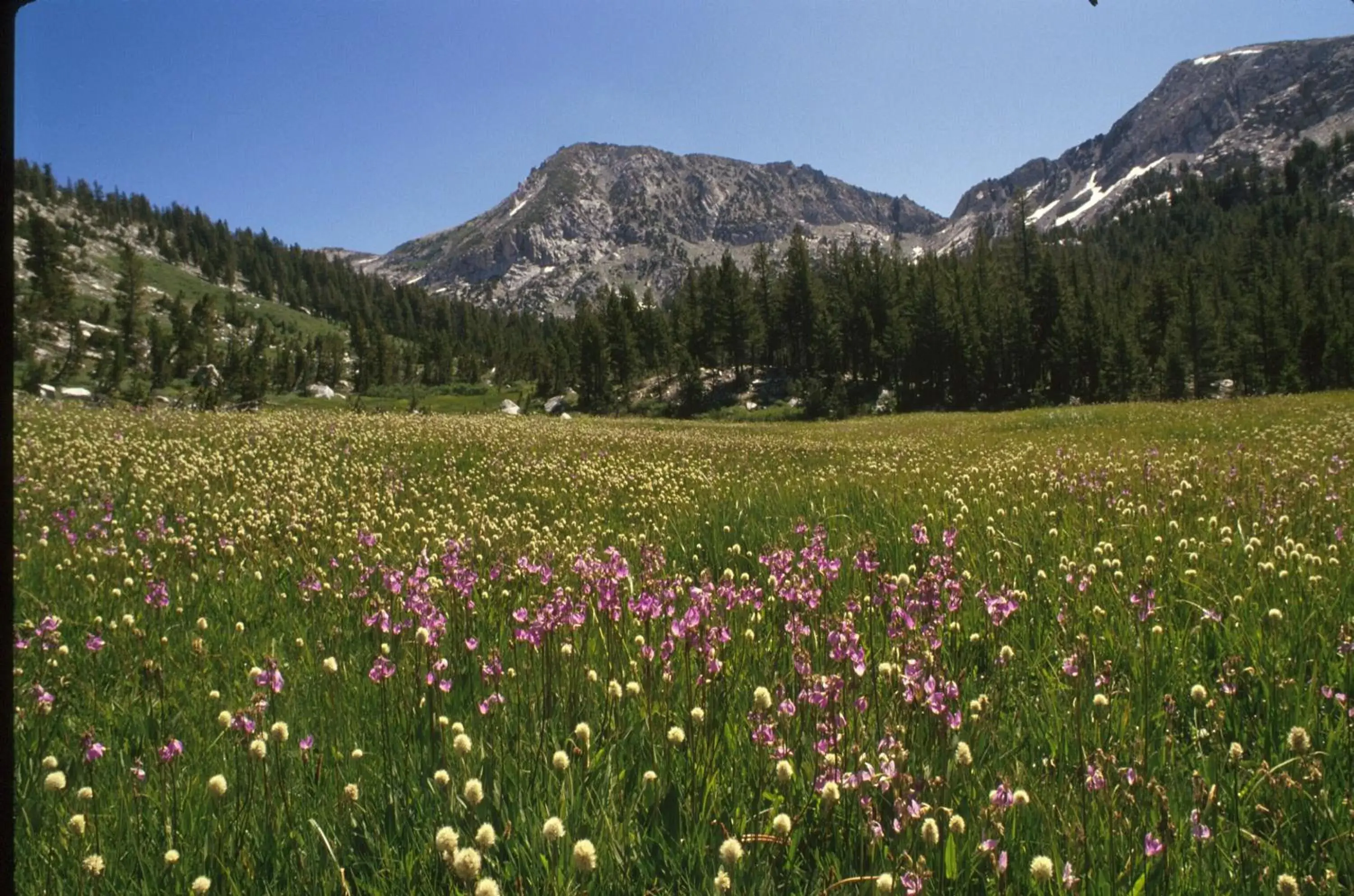 Natural Landscape in Elliott House Boutique Hotel