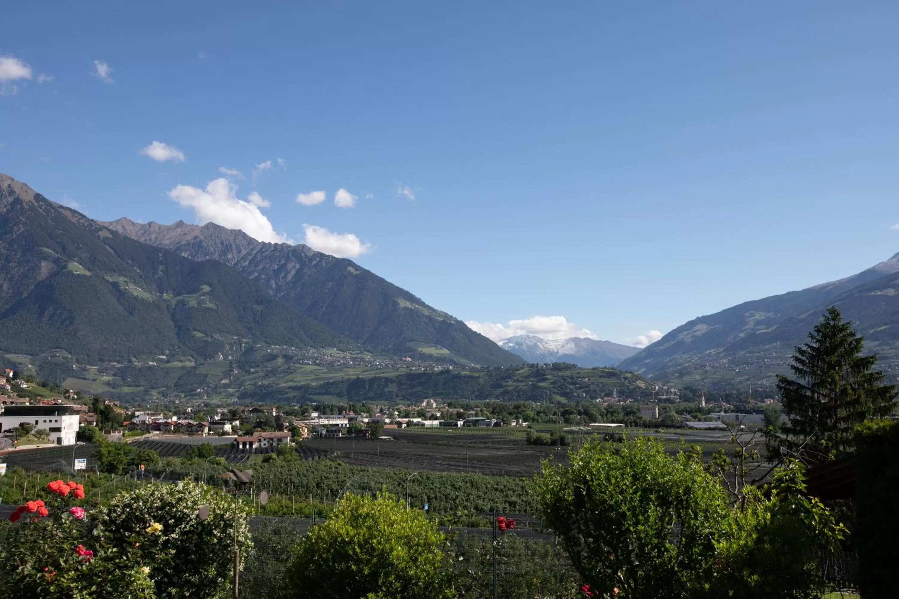 Mountain view in Residence Margreth