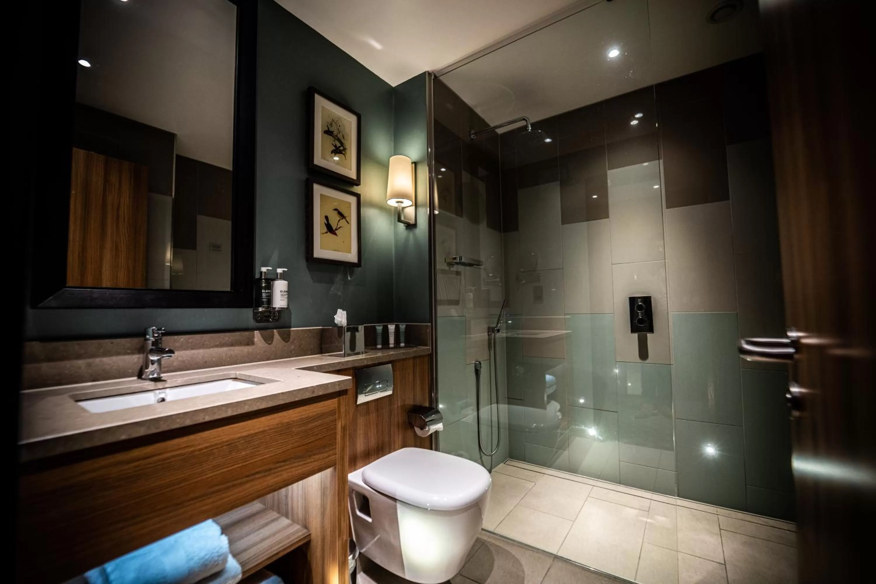 Toilet in The Warwickshire Hotel and Country Club