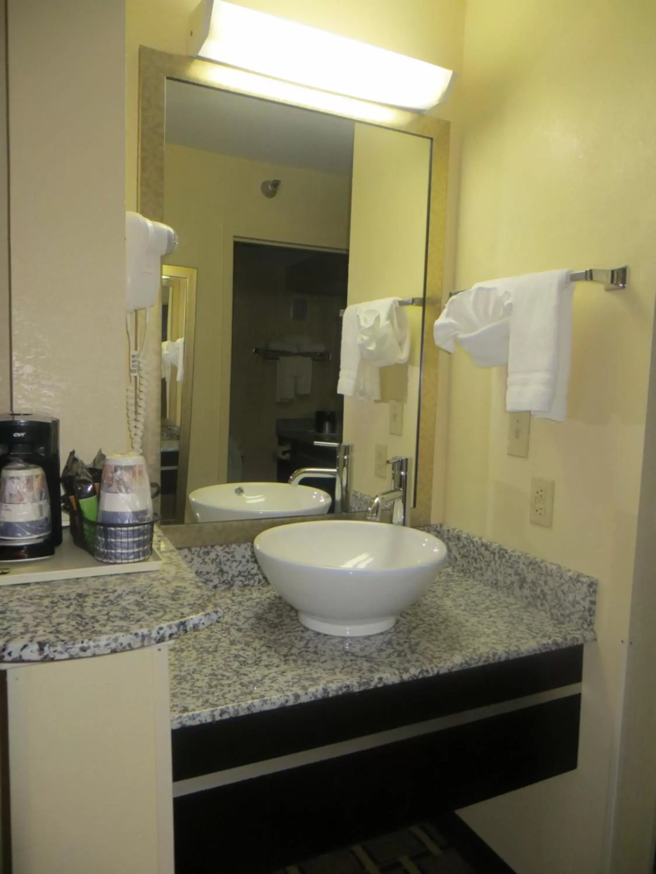 Bathroom in Best Western Knoxville Suites - Downtown