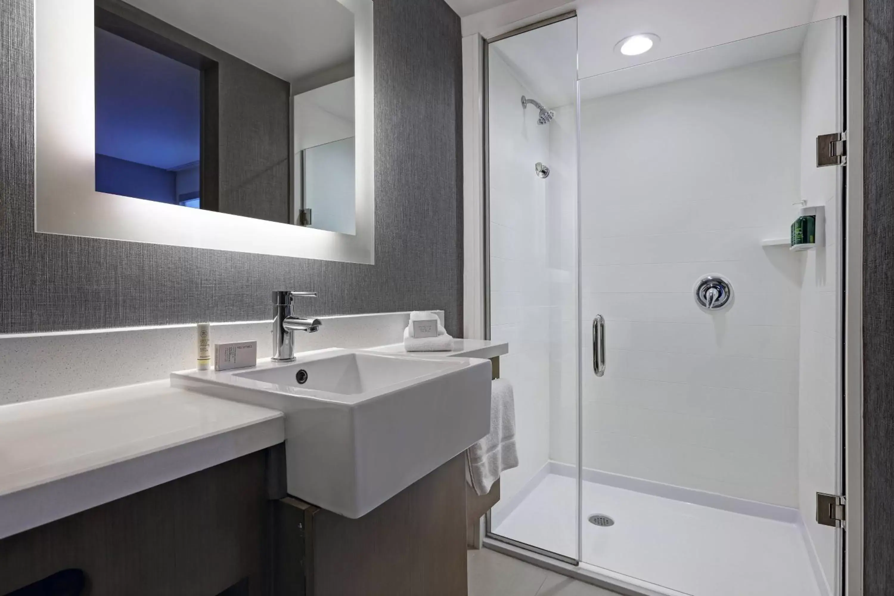 Bathroom in SpringHill Suites by Marriott Palm Desert